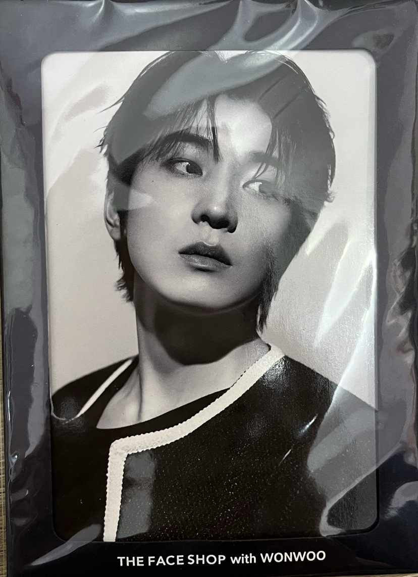 the face shop 折疊照片