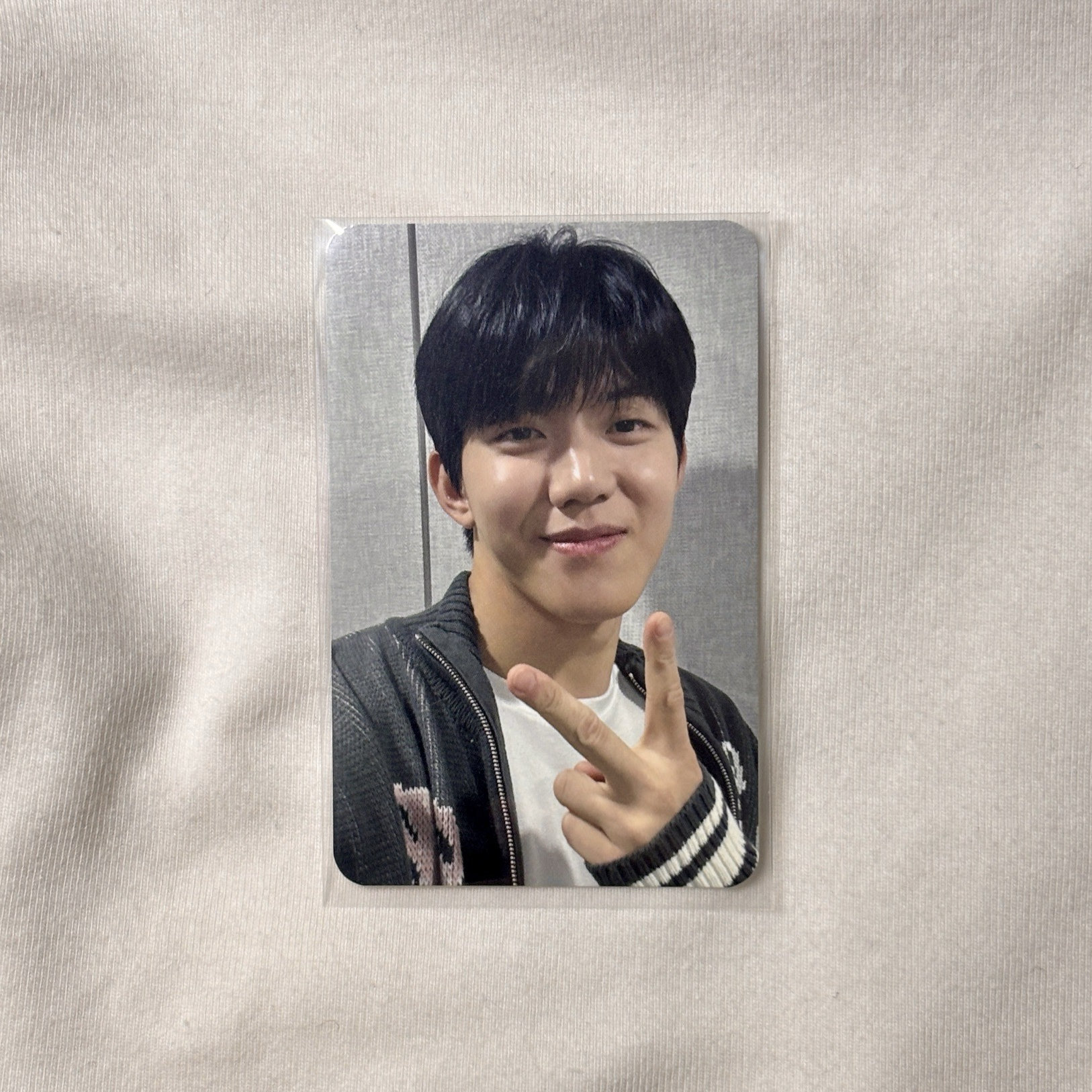 尹度云｜迷九ITTA LD