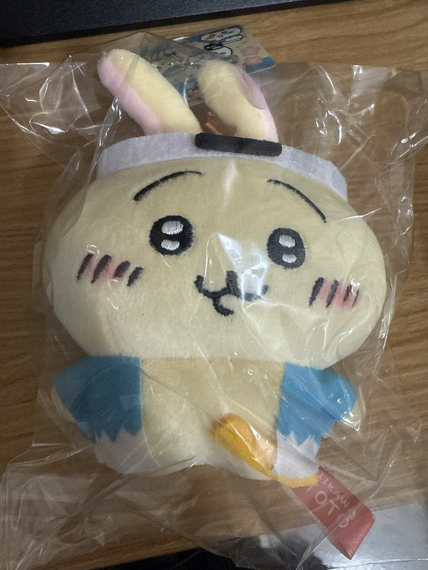 地區限定 兔兔 抹茶