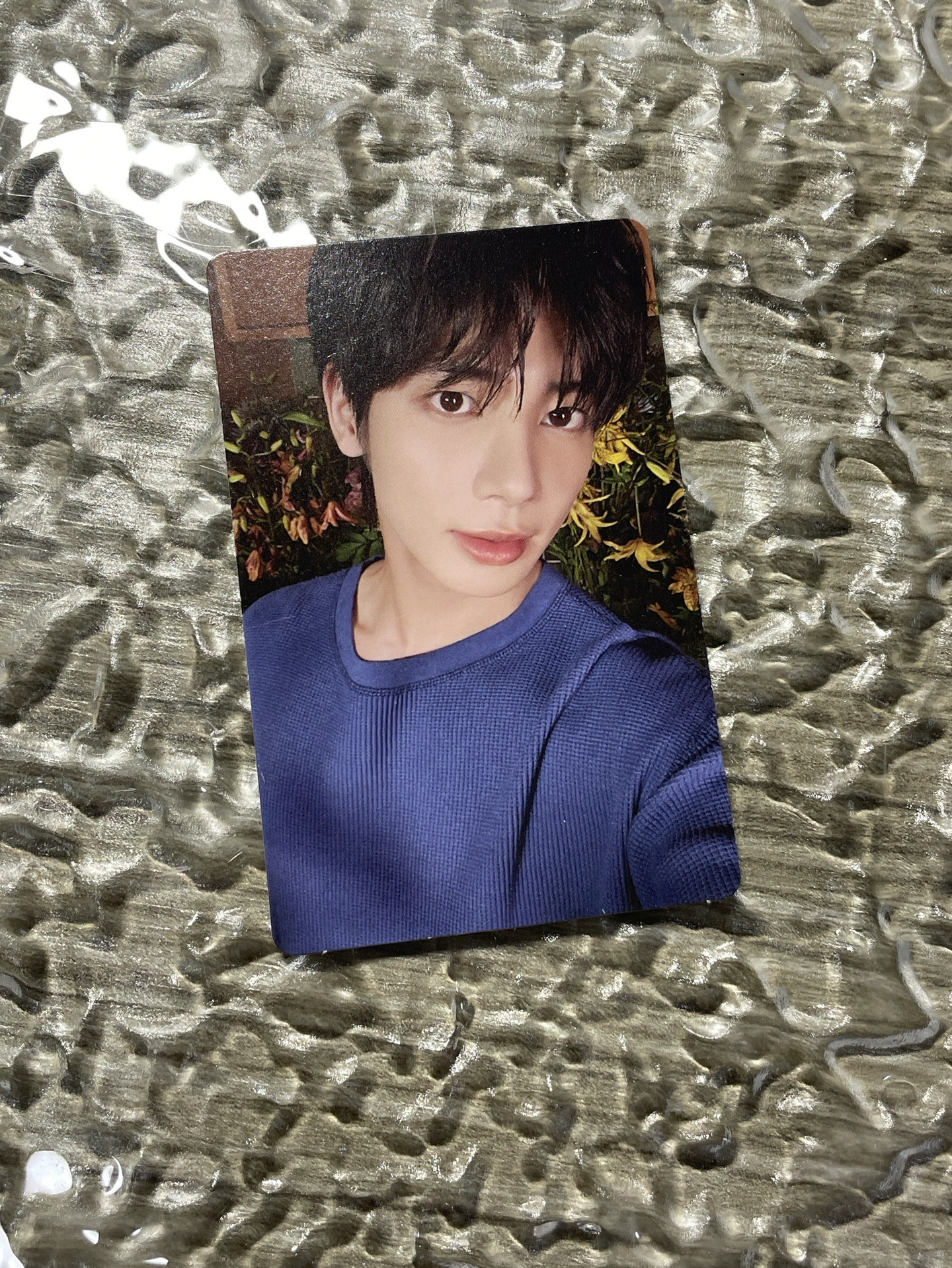 迷七 專輯卡 電子專A