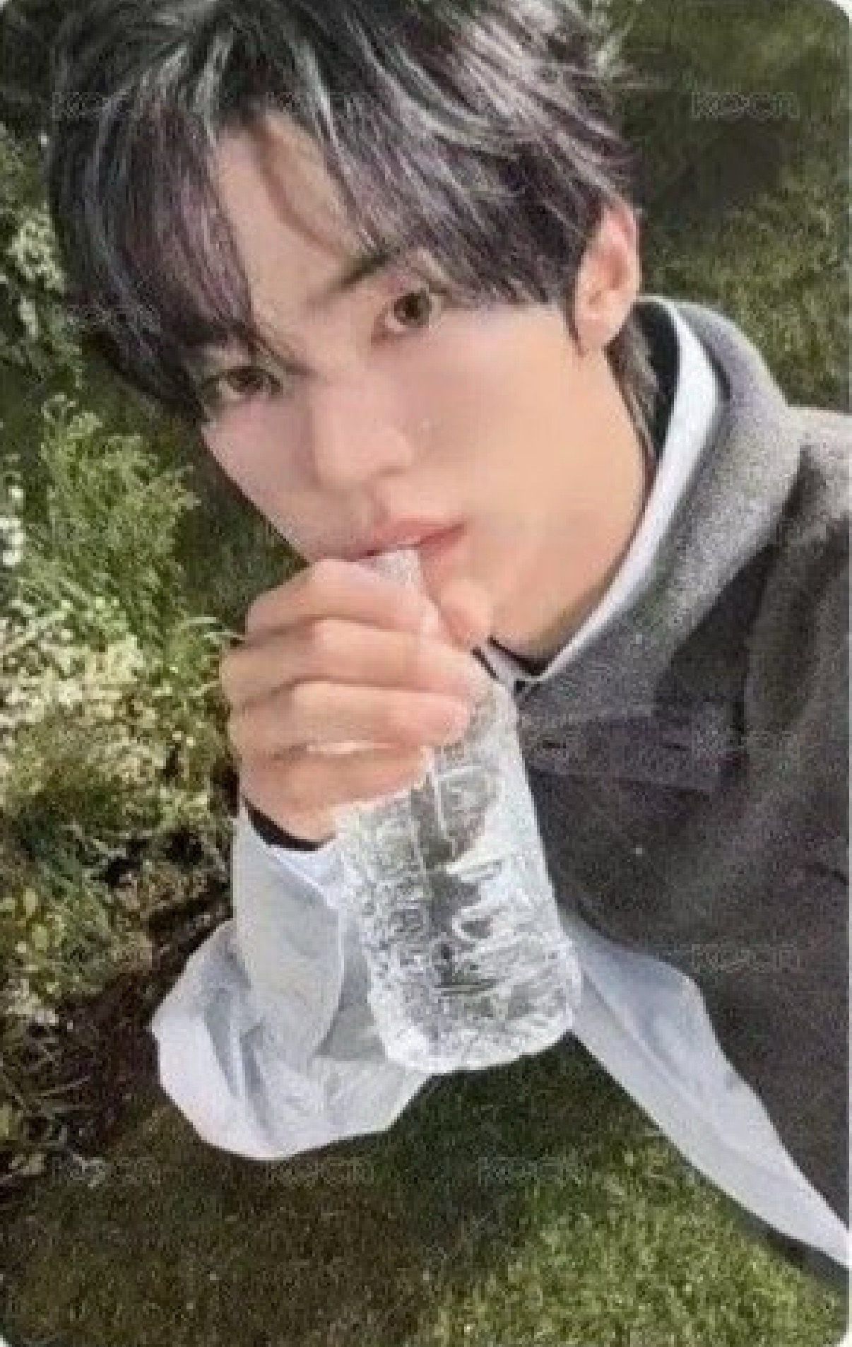 TWS金道勳 情人節簽售卡