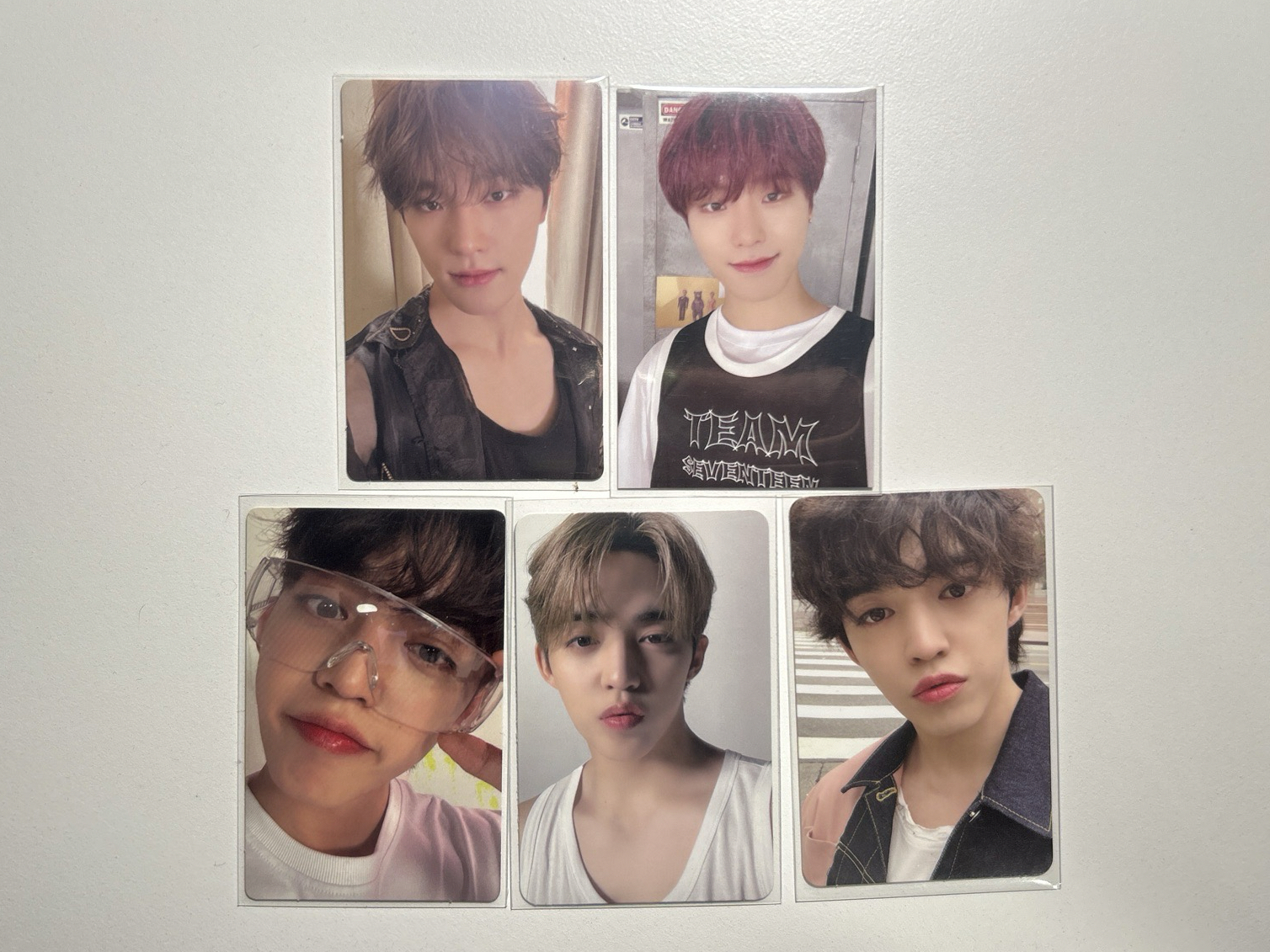 （整圖）seventeen 專卡會員禮  S.coups Dino 