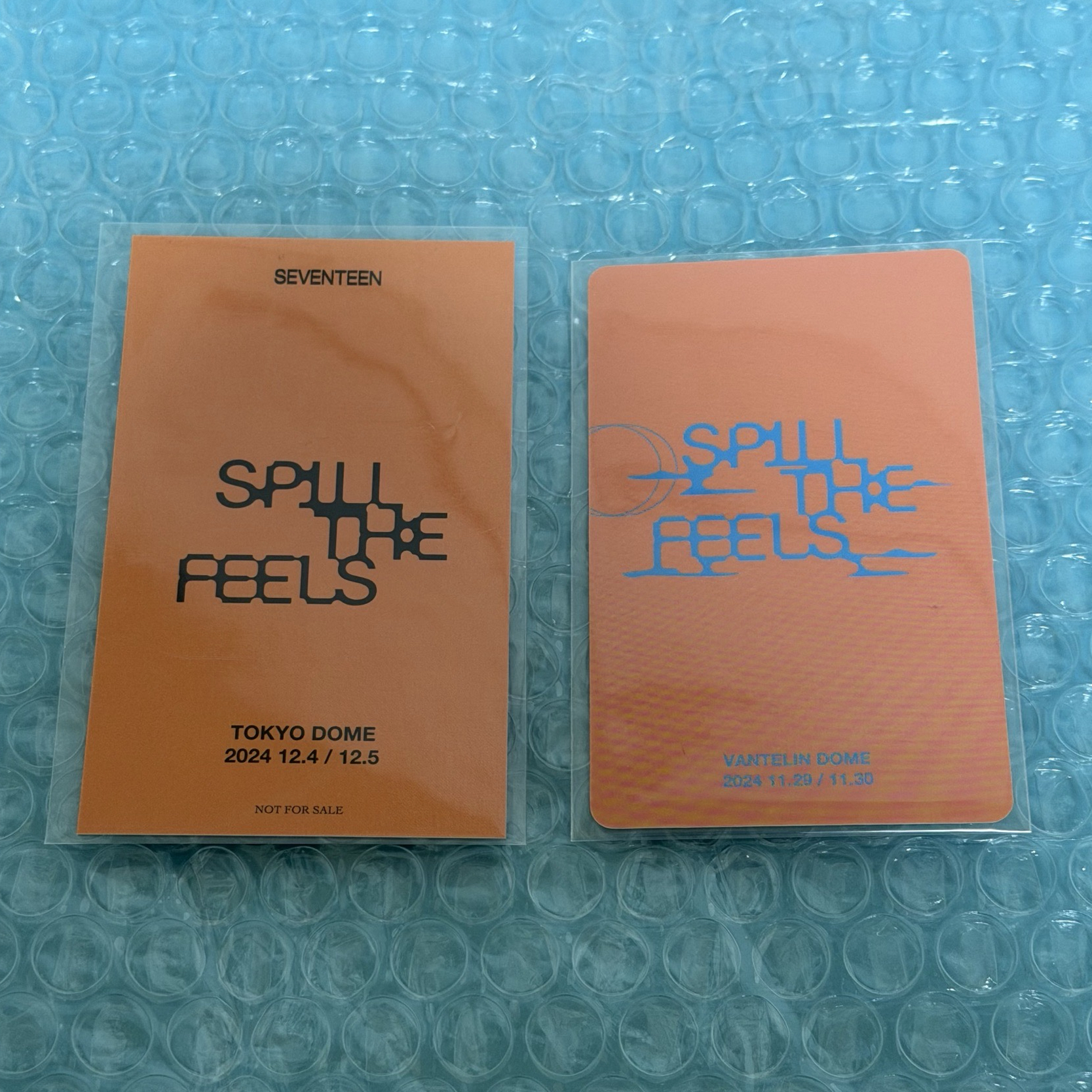 率 VERNON 東京環球/愛知WVS