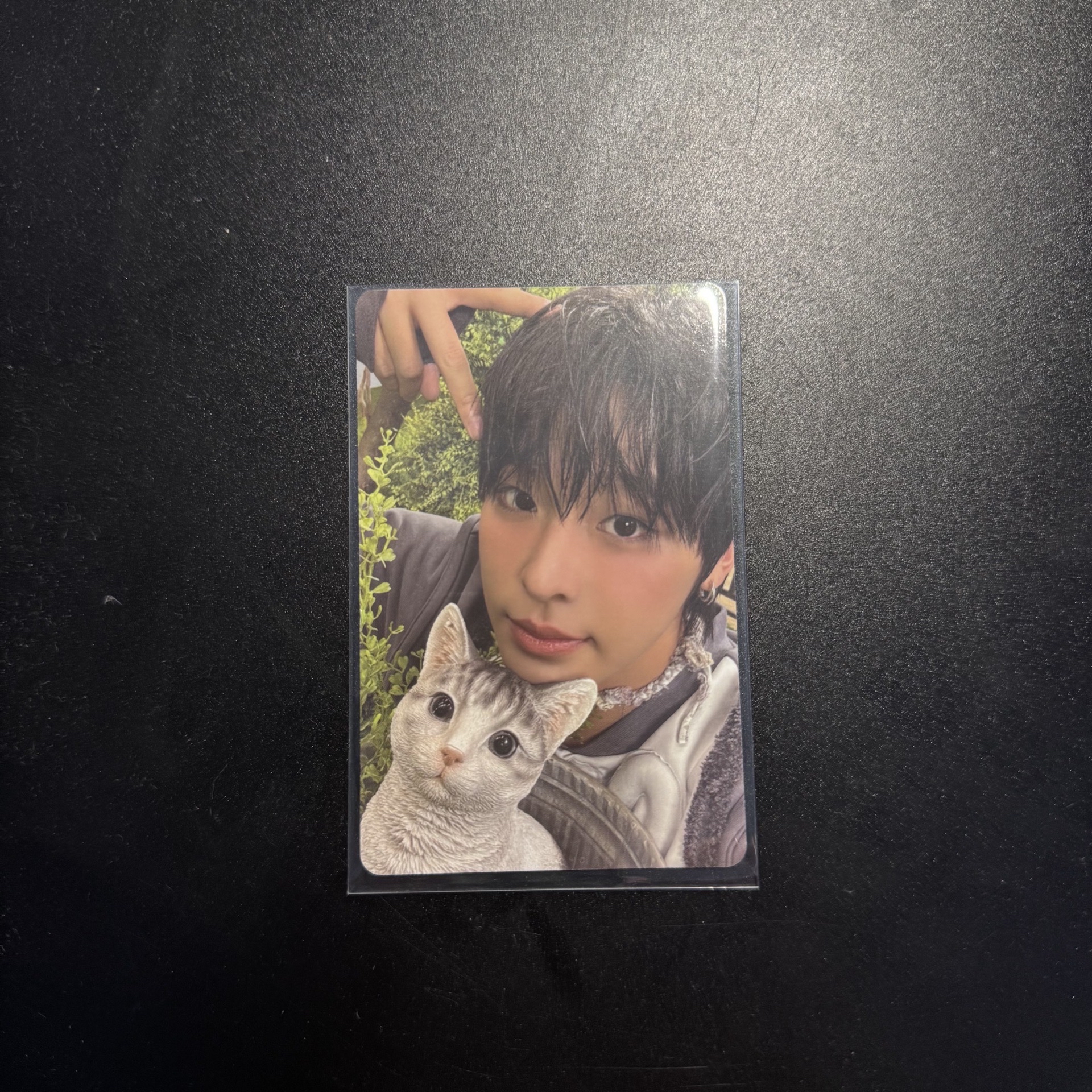 【NCT WISH】單封卡