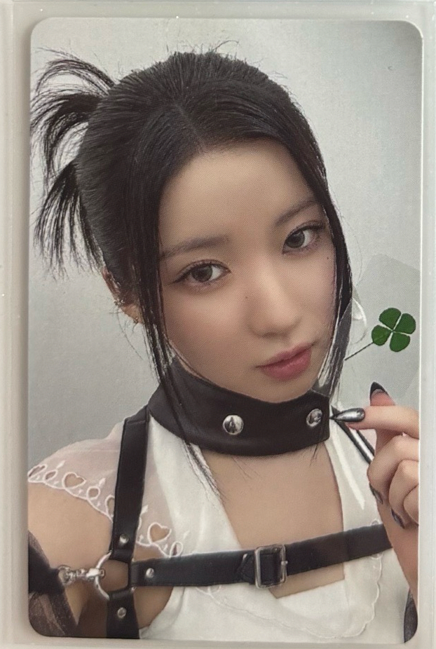 角幸運草中籤 全球限量80張