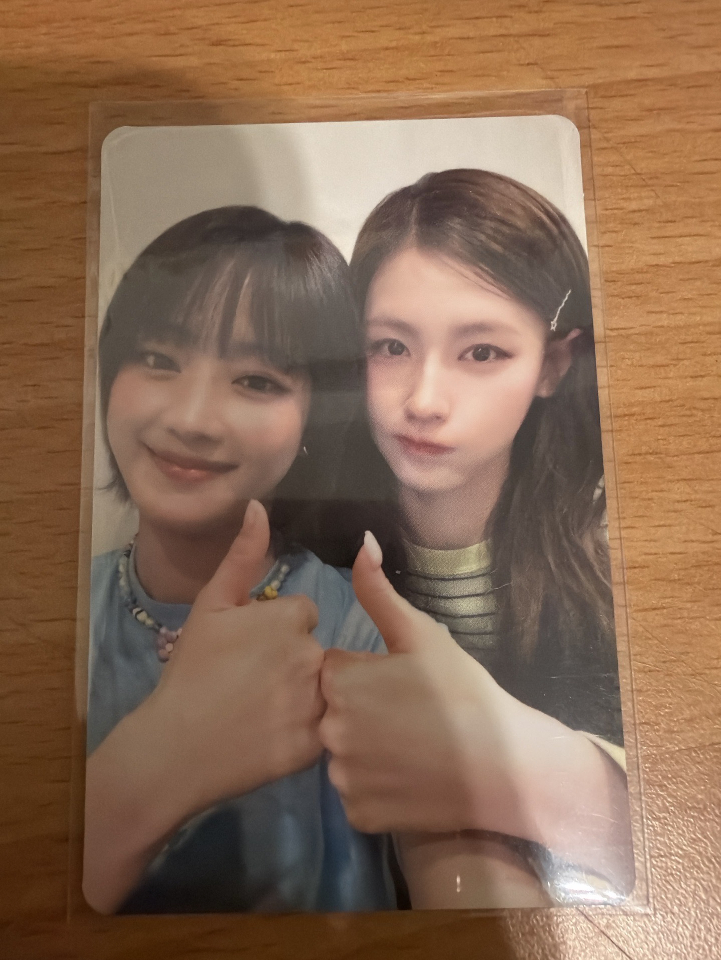 日咖狗狗姐妹雙人卡