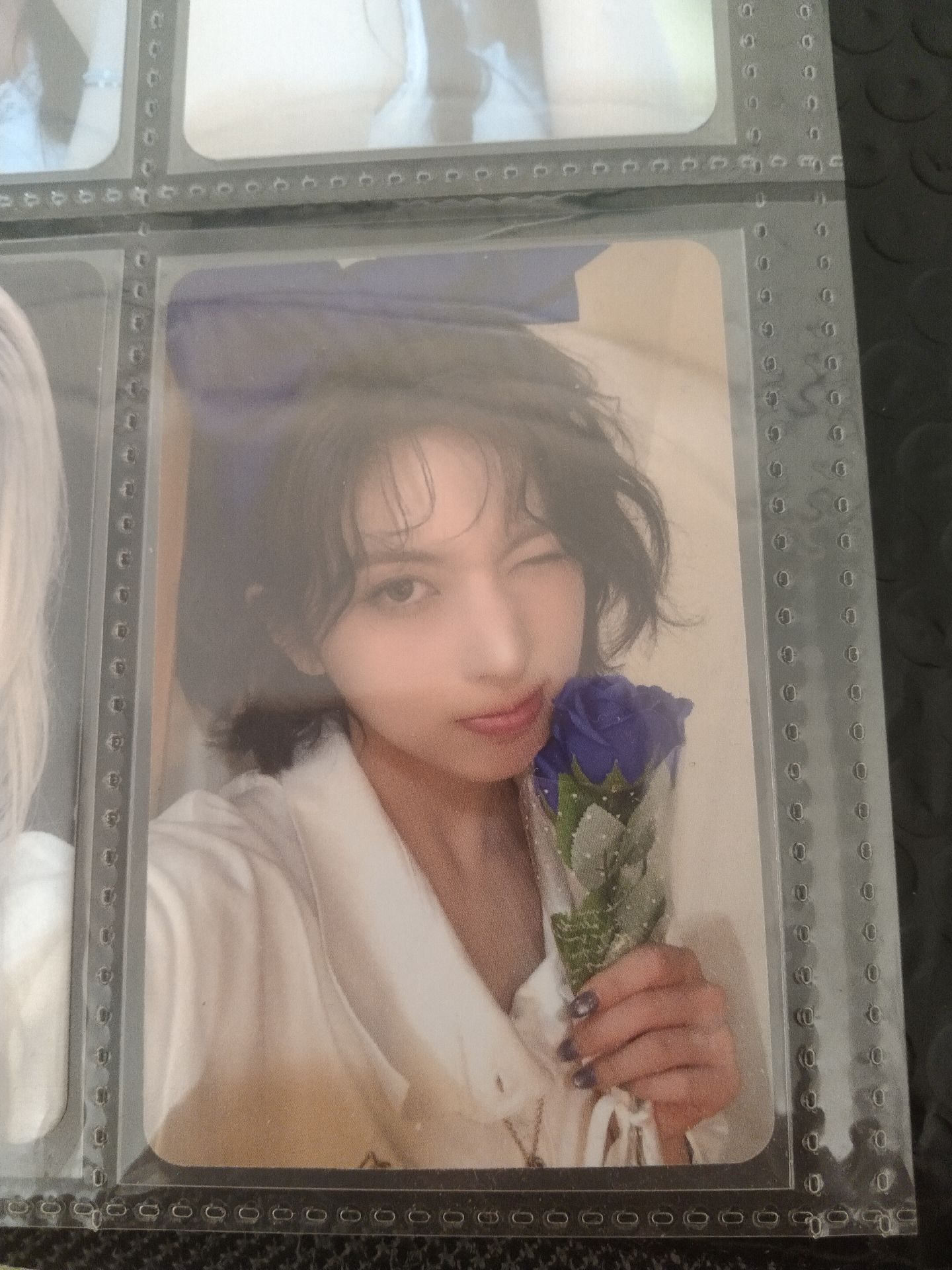 藍色水玲瓏+玫瑰瞳鈴眼=藍玫瑰裴