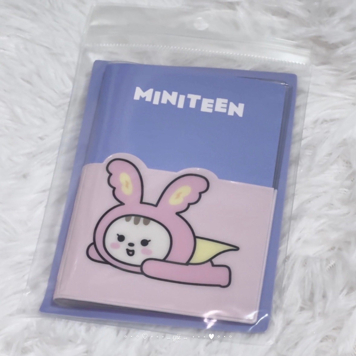 MINITEEN 護照套 JJONGTORAM