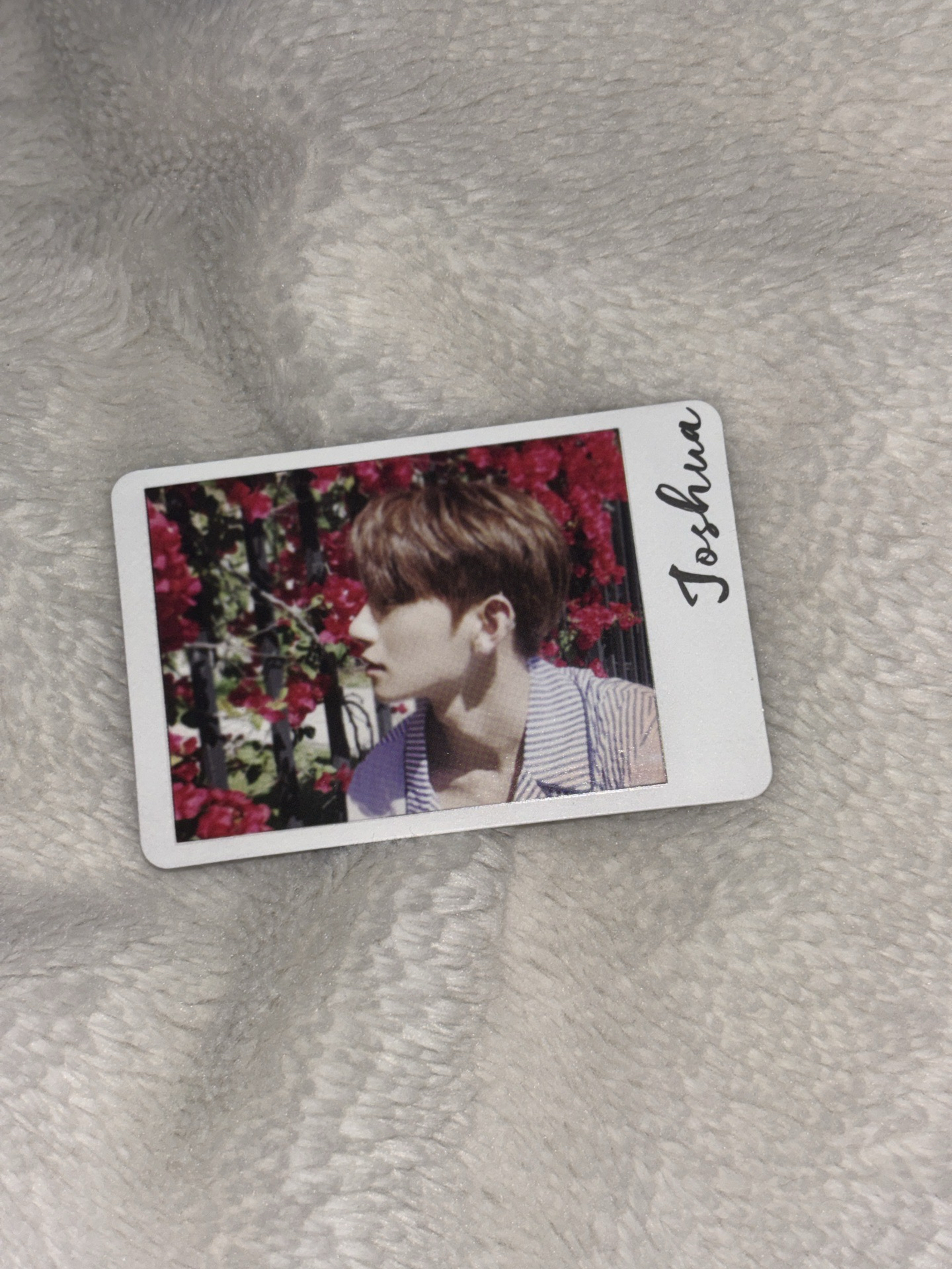 秀mini4專卡𝜗𝜚