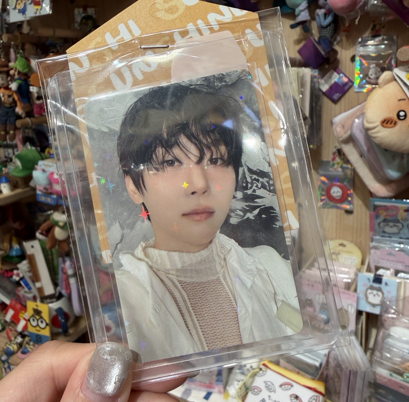 碩寛小分隊 wvs jp 抽選卡