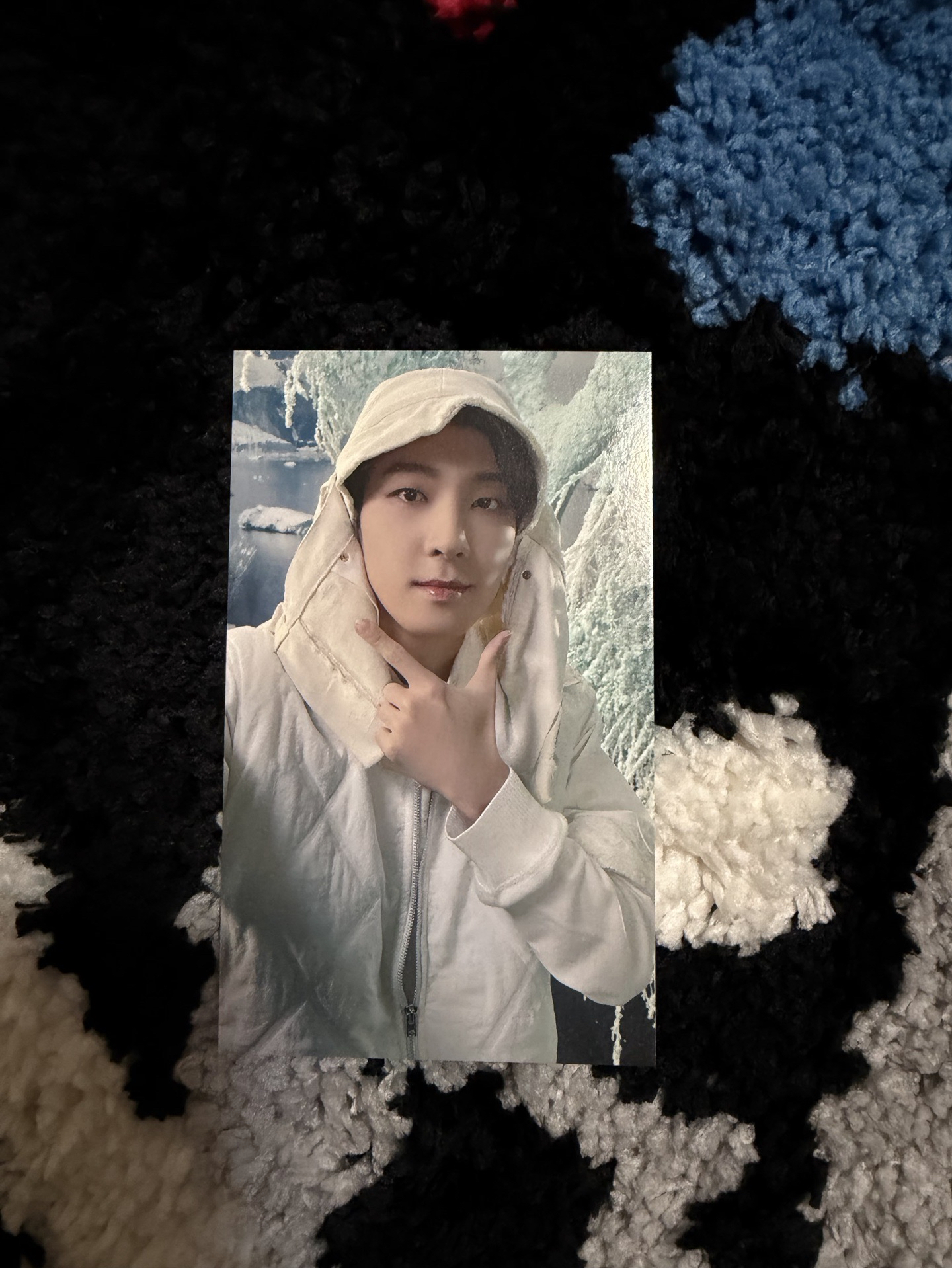 圓 正四後續 環球特典