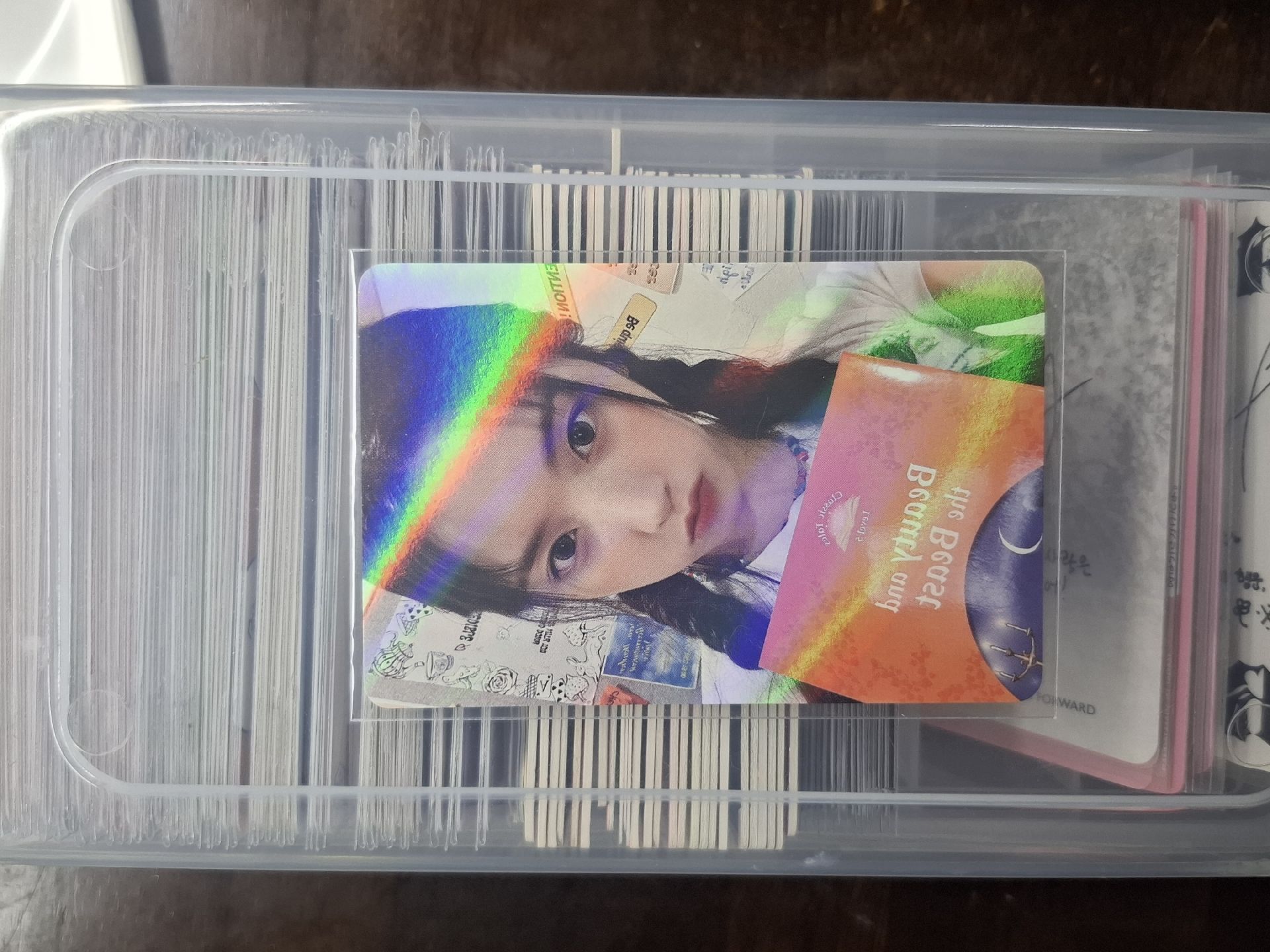 超可愛的啾寶🥰