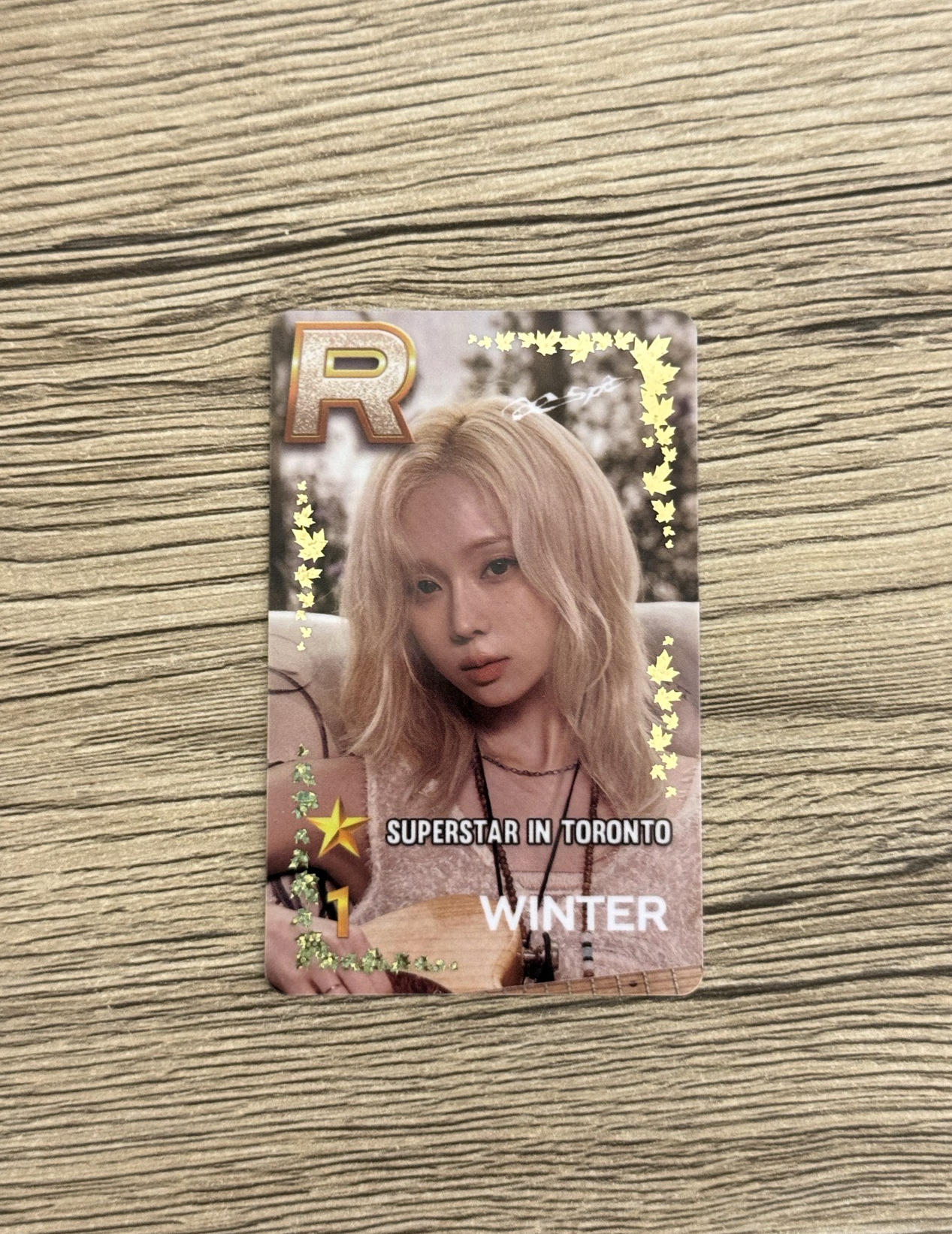 多倫多遊戲卡冬