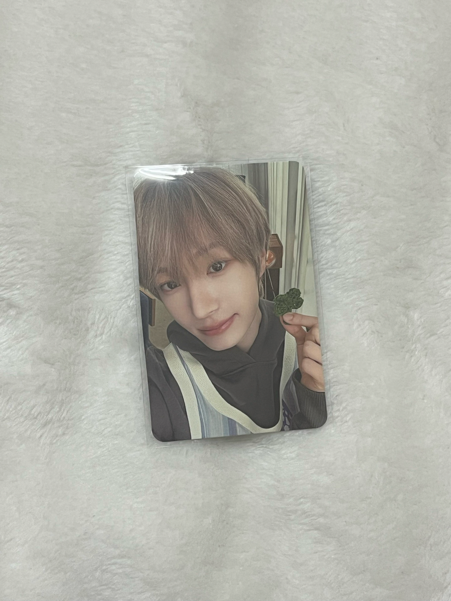 東花 迷三專輯小卡