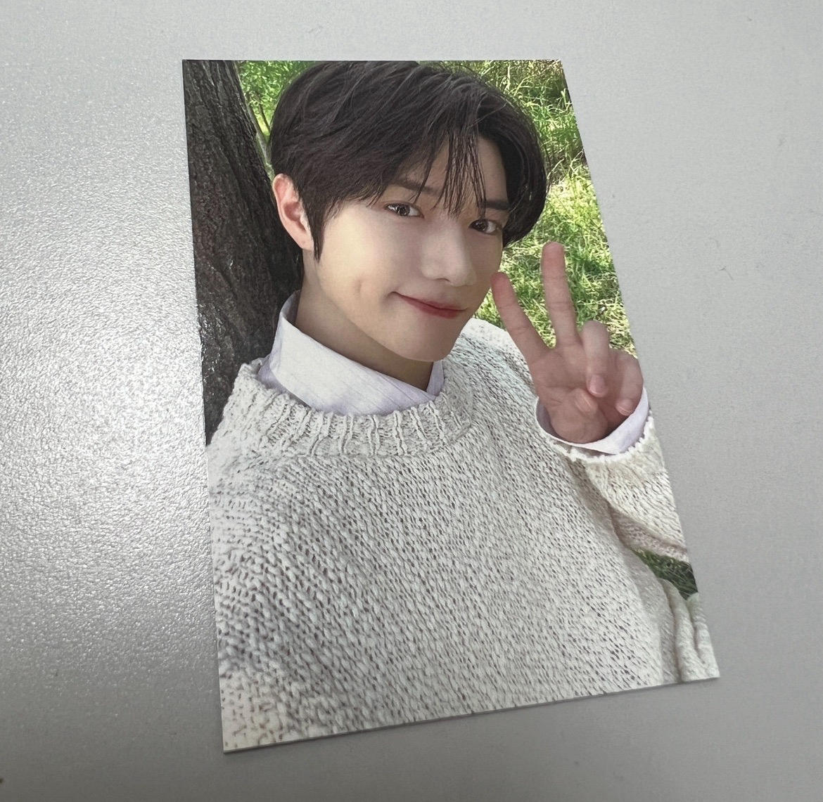 台北粽卡 崔杋圭