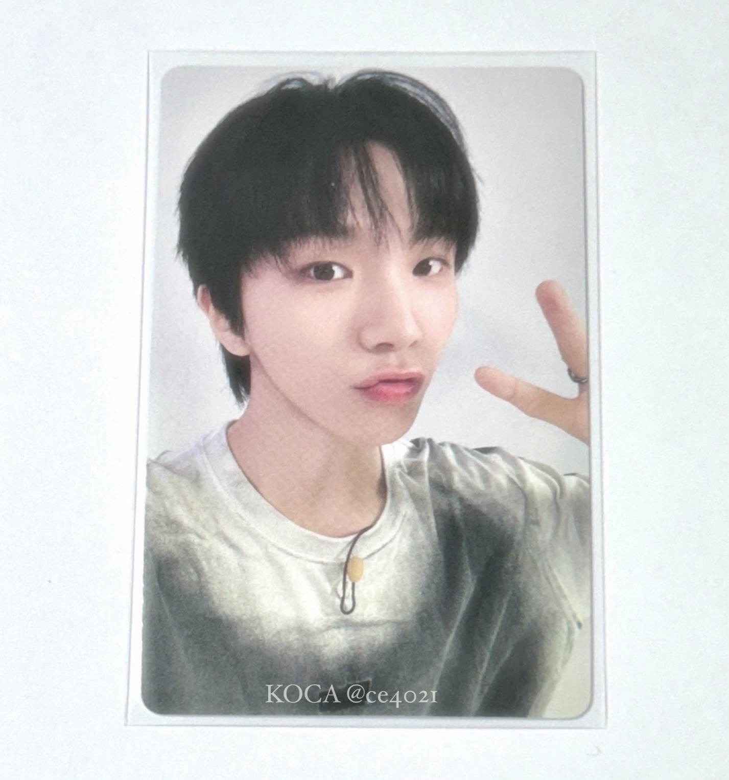 金雲鶴 19.99 一直娛1.0（可當多帶）