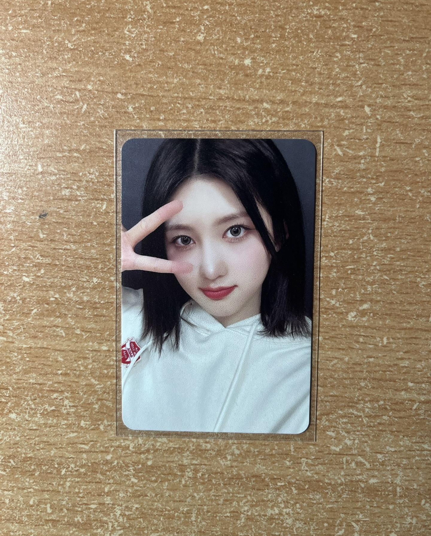 🌏秋天23’FC 演唱會 DVD / CD 卡 Kit ver.