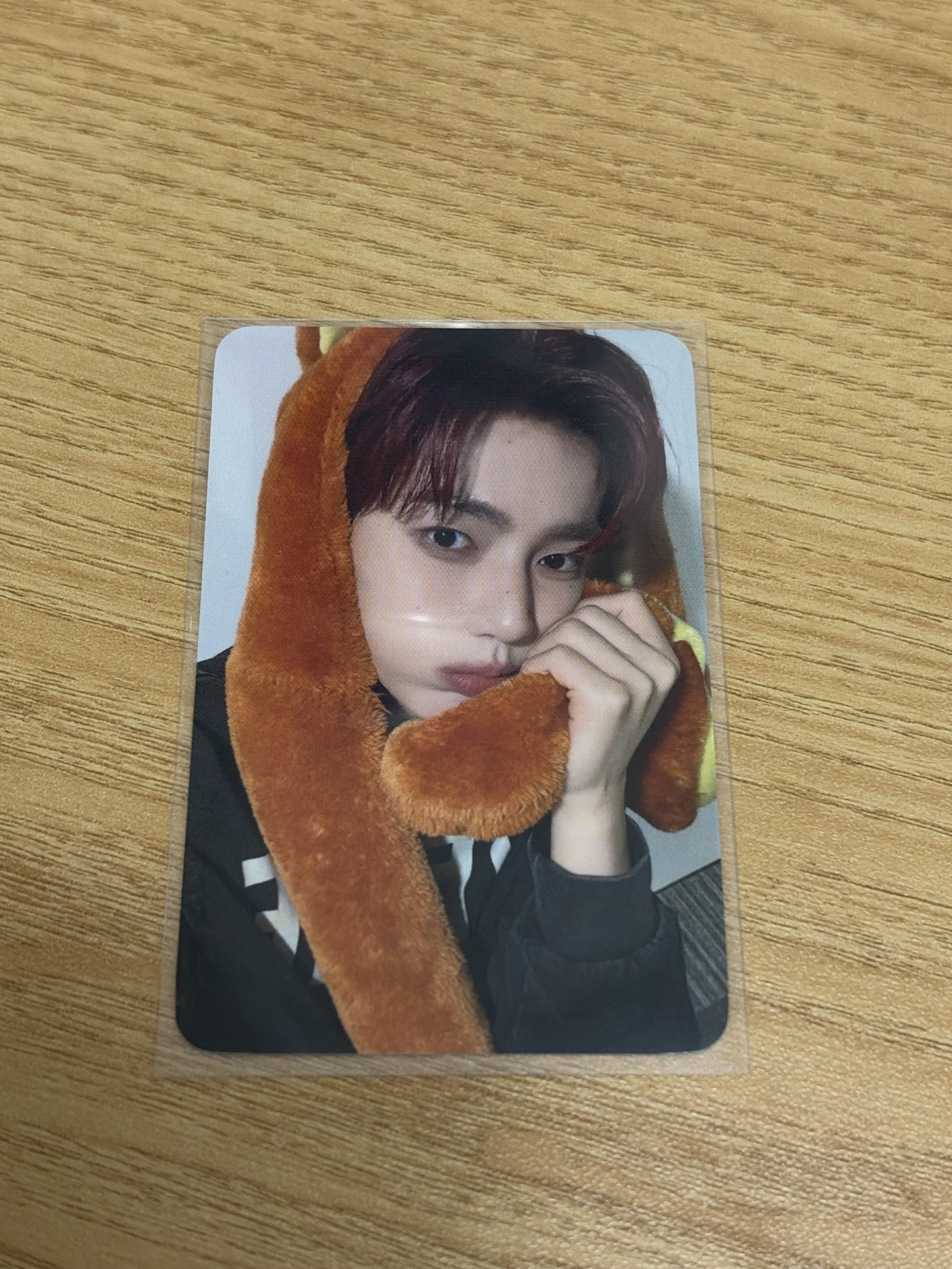 章昊動物方城市小卡