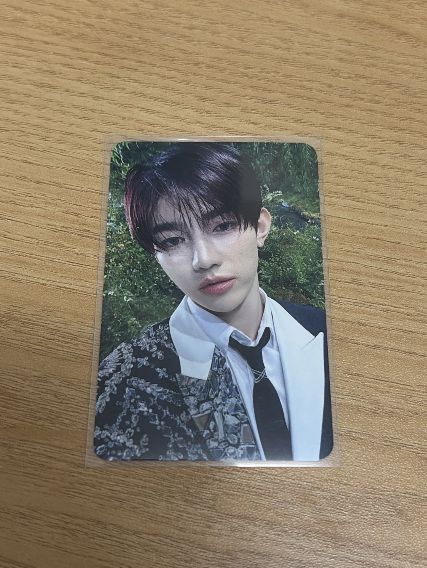 章昊一巡首爾場綜卡