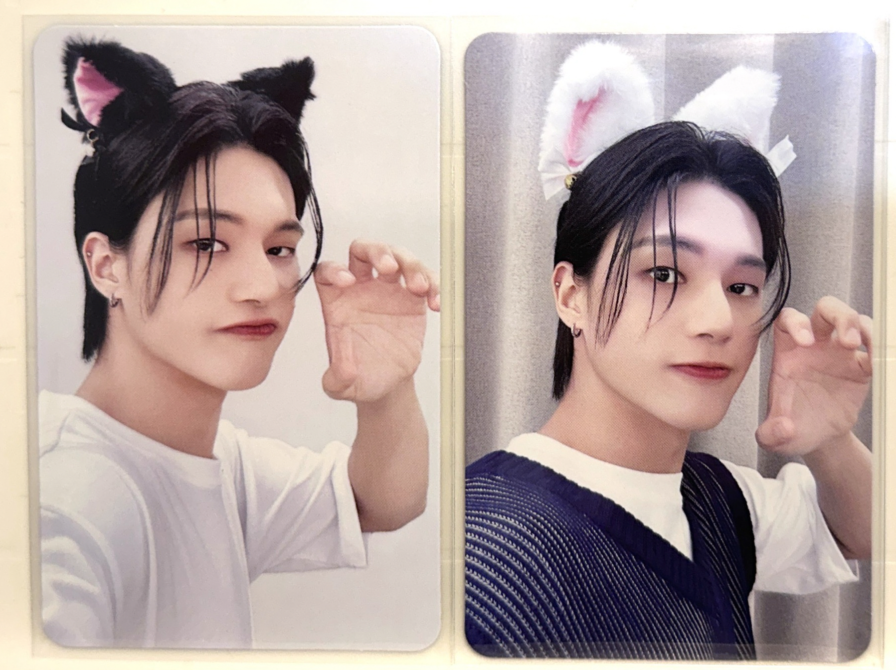 友榮 黑白貓貓本體卡