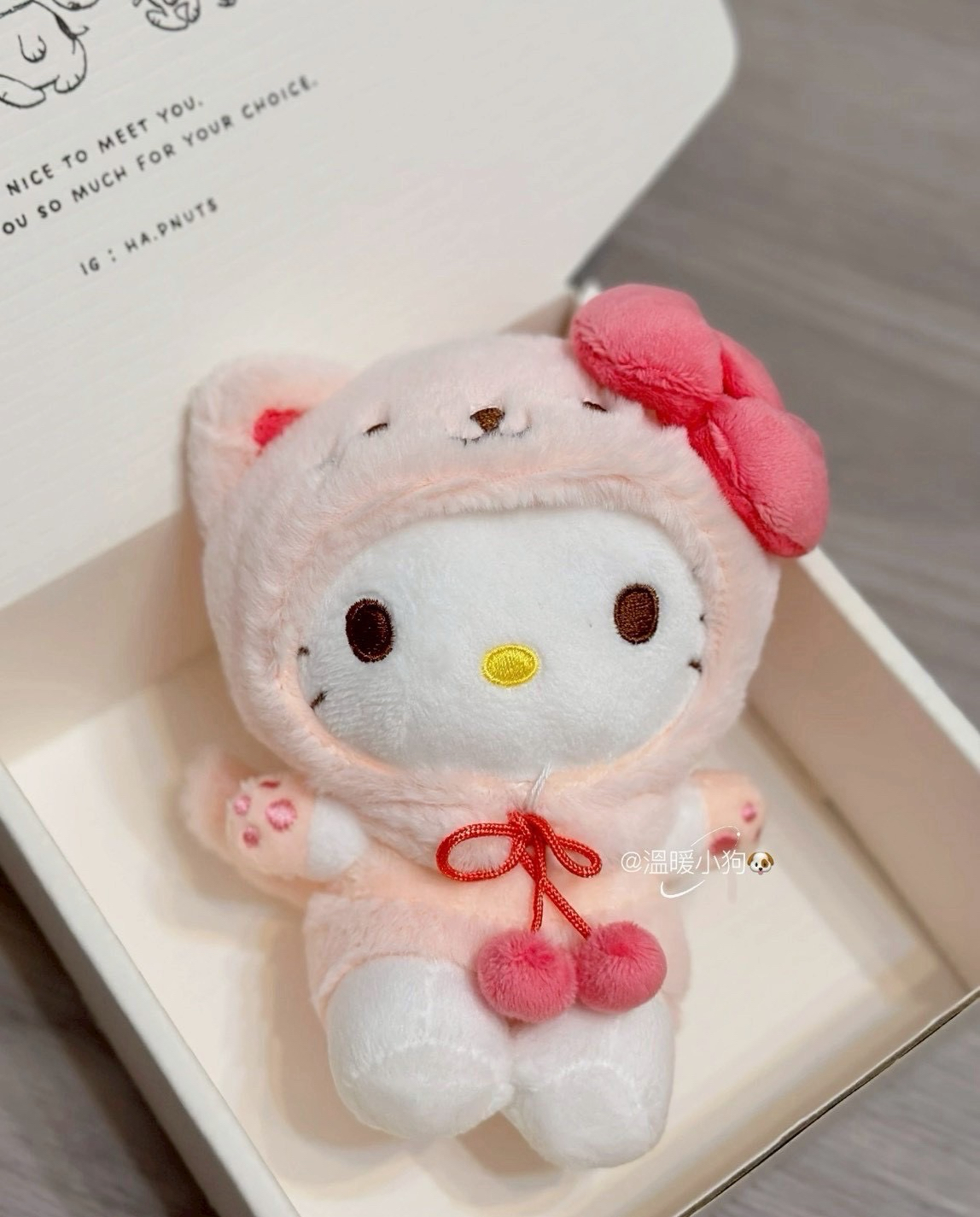 三麗鷗 貓咪裝Kitty