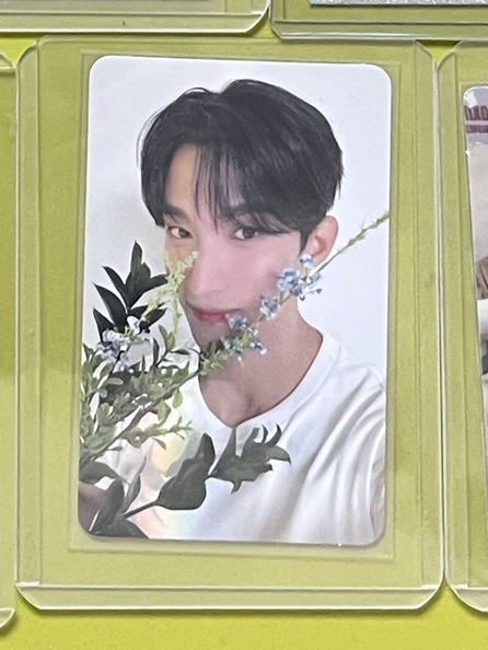 精選專 專輯卡 CARAT ver.碩