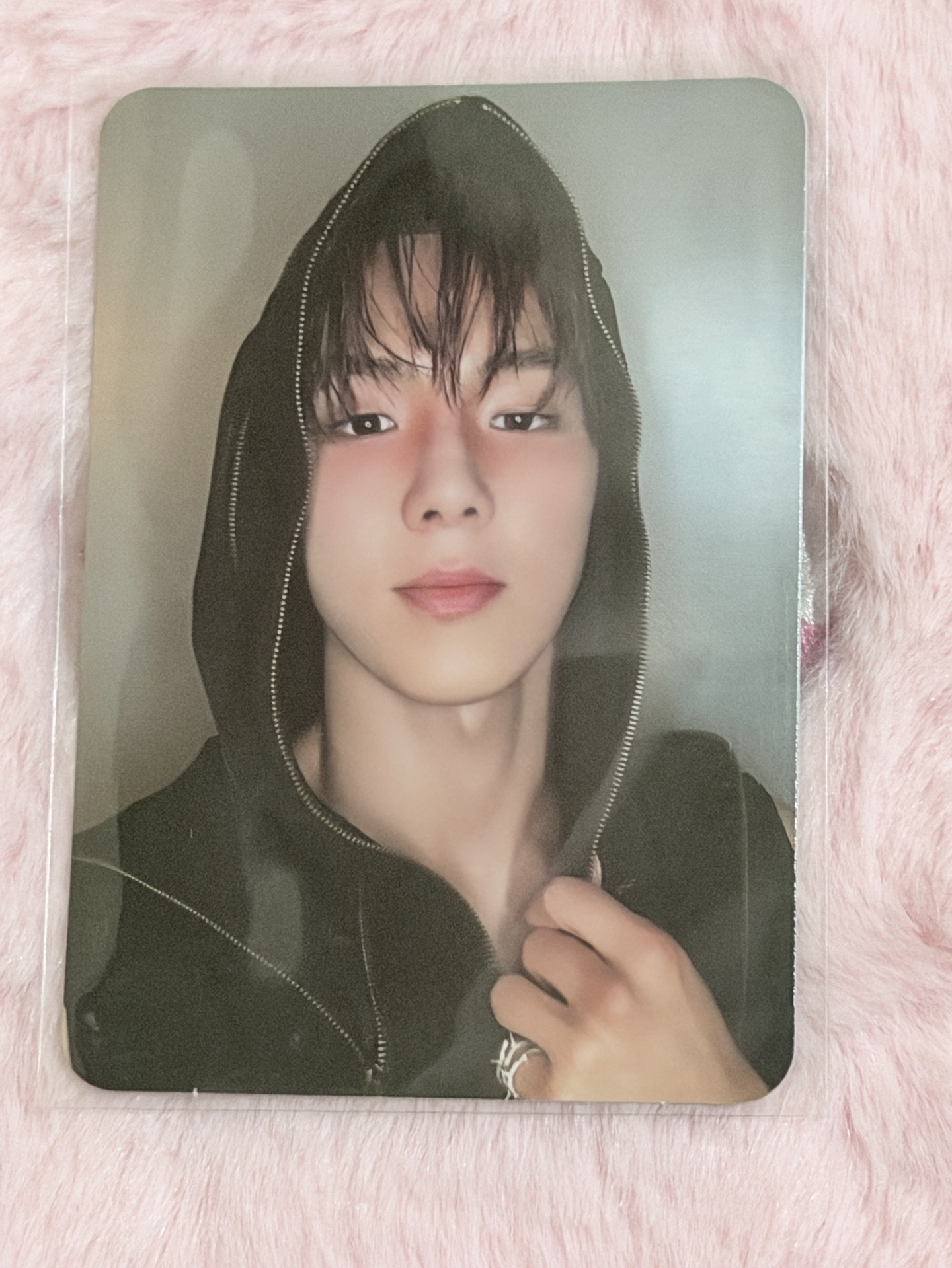 MONSTA X THE X SHOWNU專輯卡