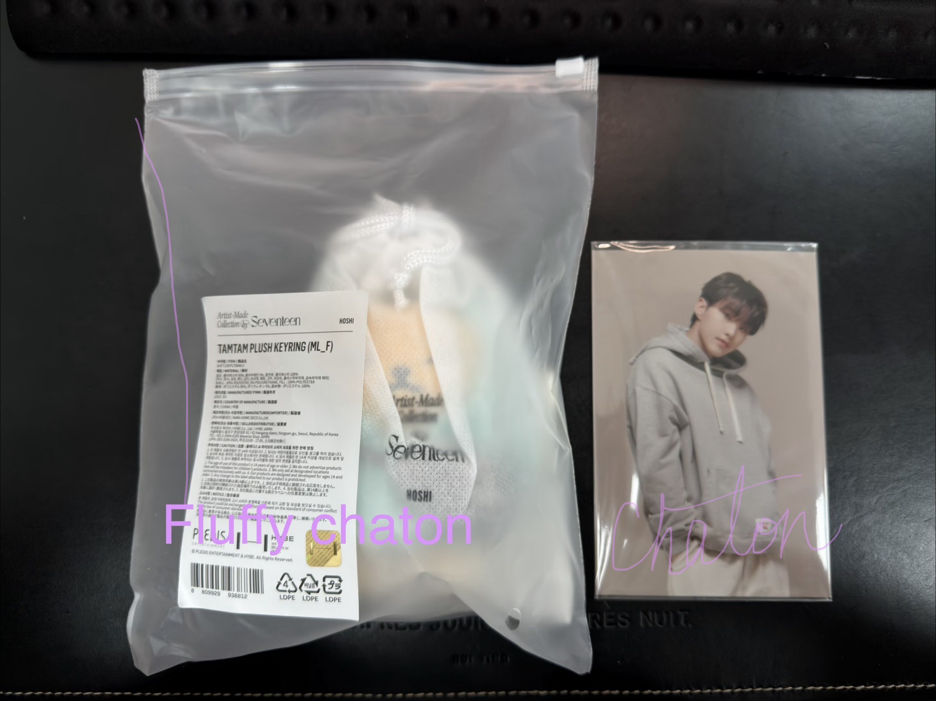 seventeen artist made Hoshi tamtam 眈眈