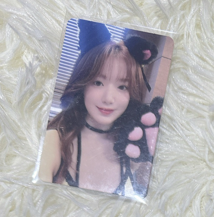 I-DLE 舒華 正規二 ms16 貓咪