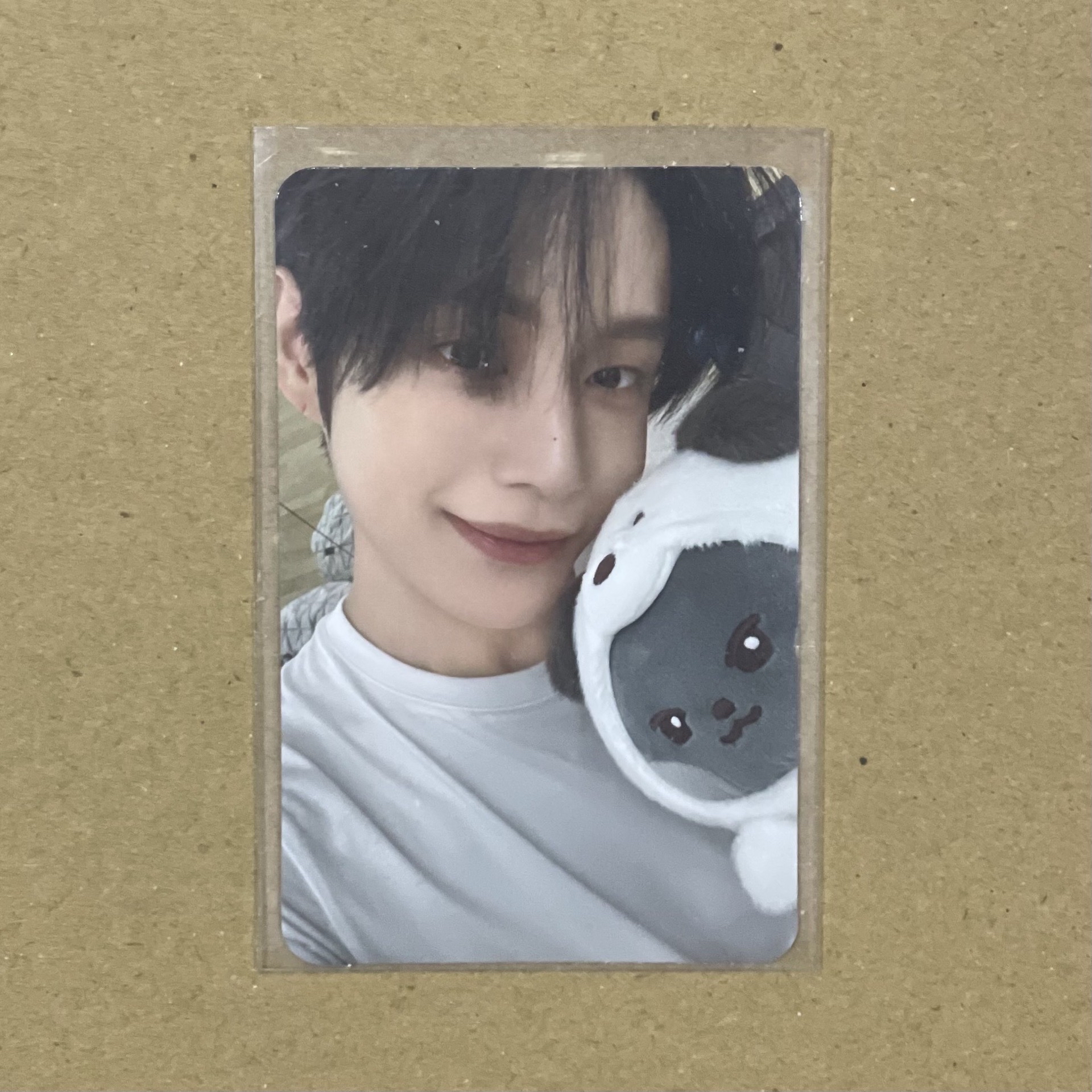 ZB1 金地雄 動物ZERONI 滿額卡🐈‍⬛