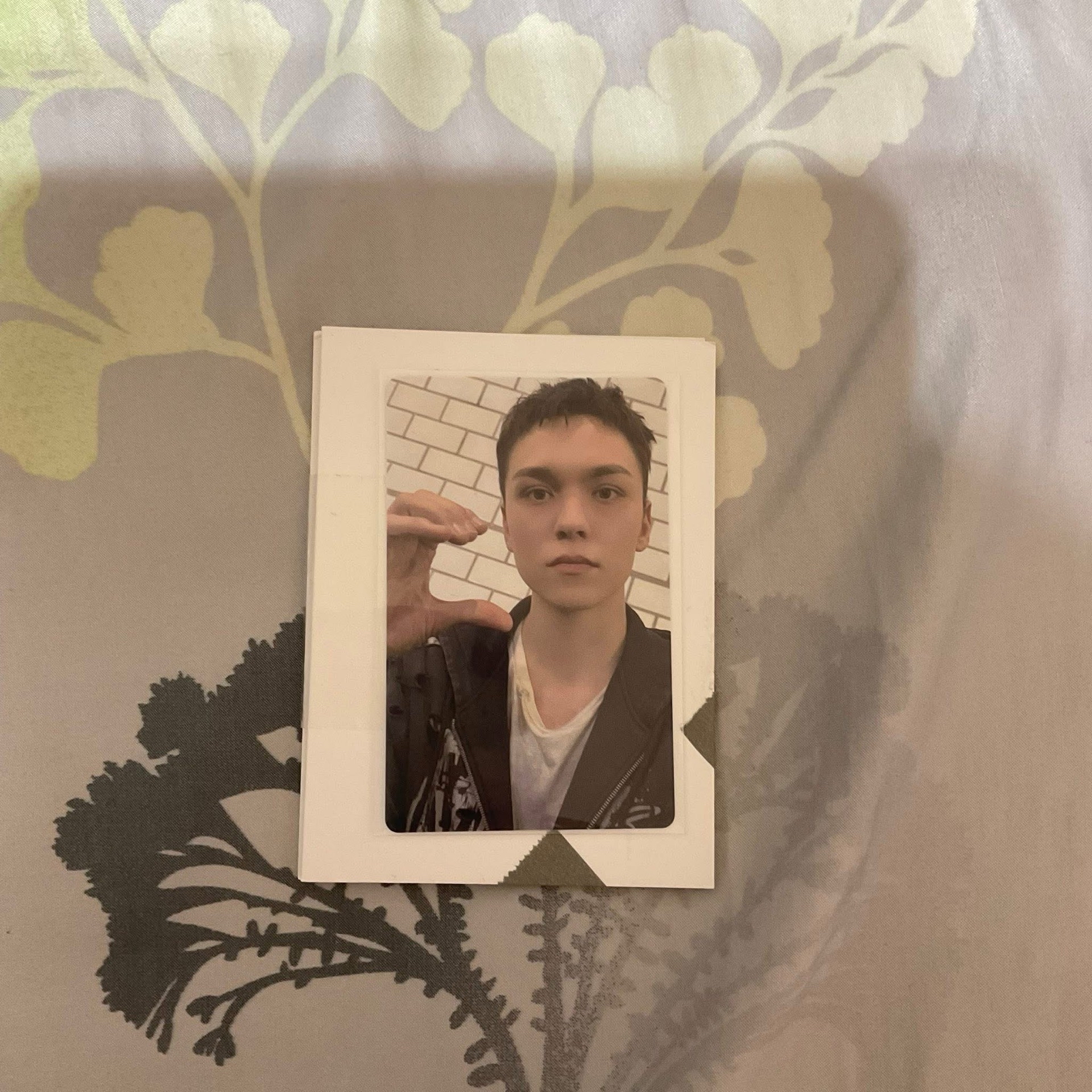 正五克拉盤 率（含特典）