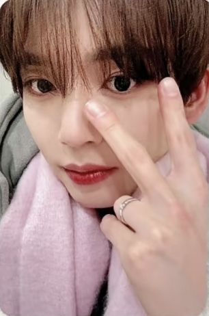 冬天辰（現貨）