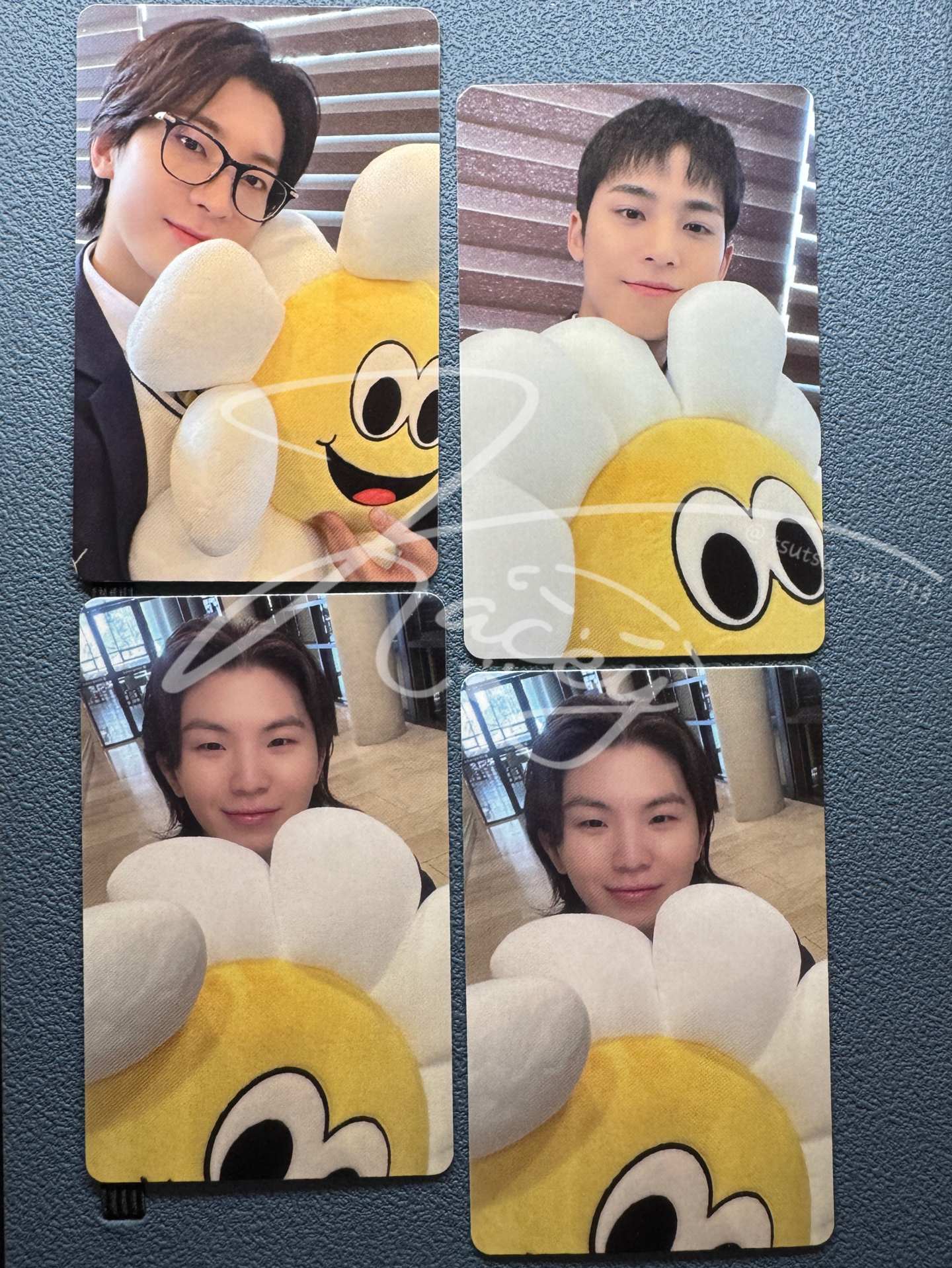 圓奎勳 太陽花🌻 MINI11 仁川場限