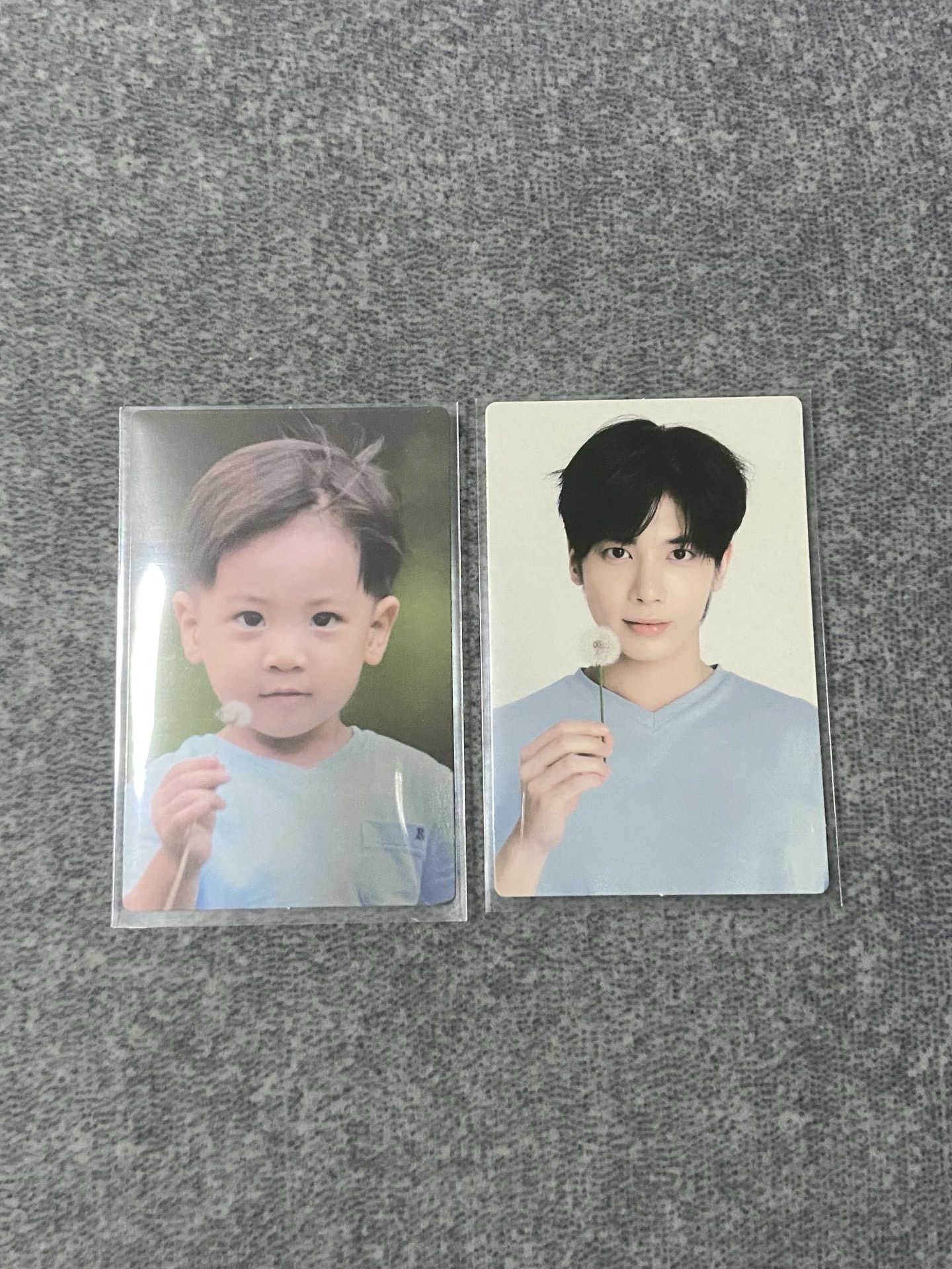 太顯會員禮小卡