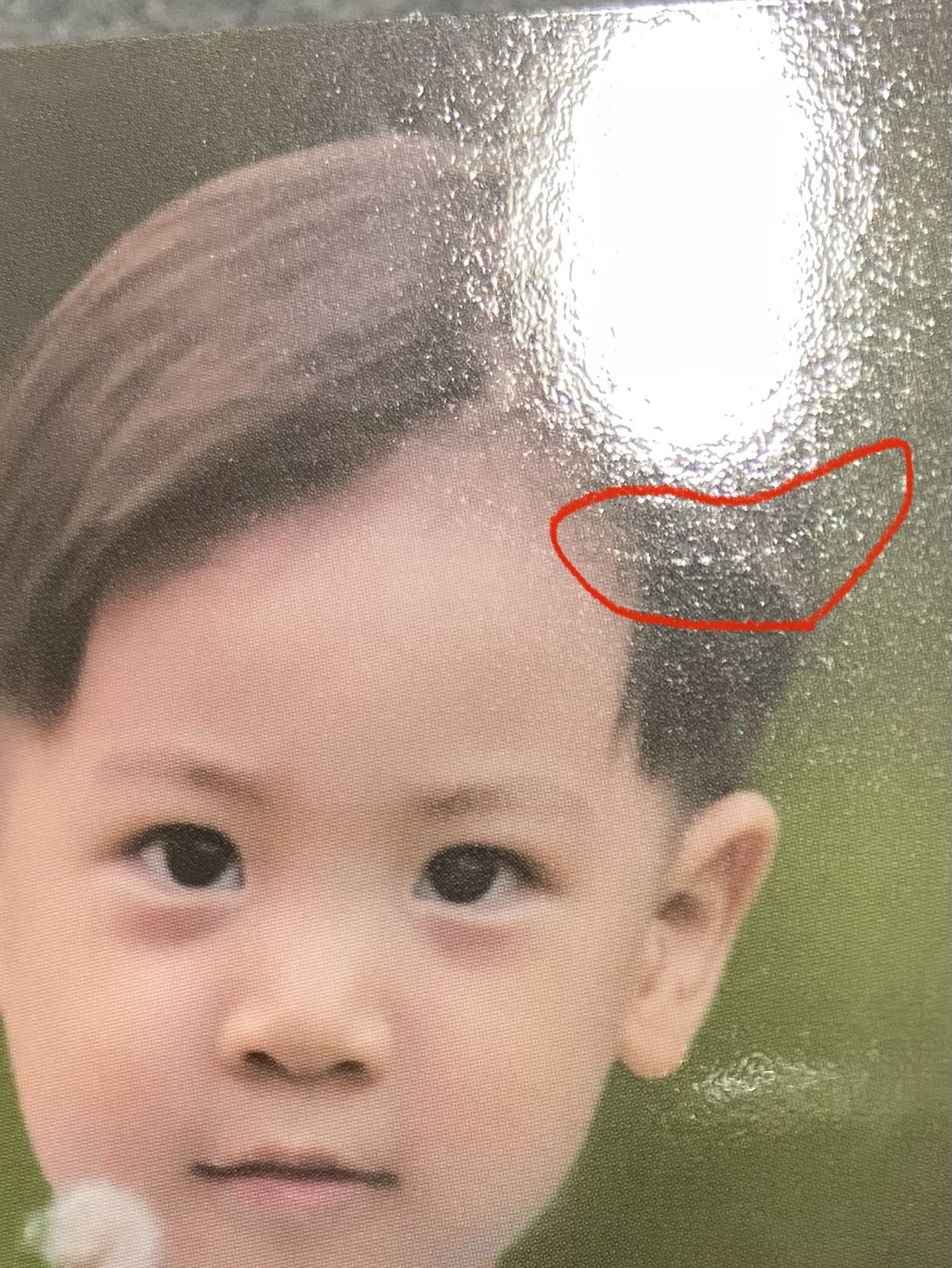 太顯會員禮小卡