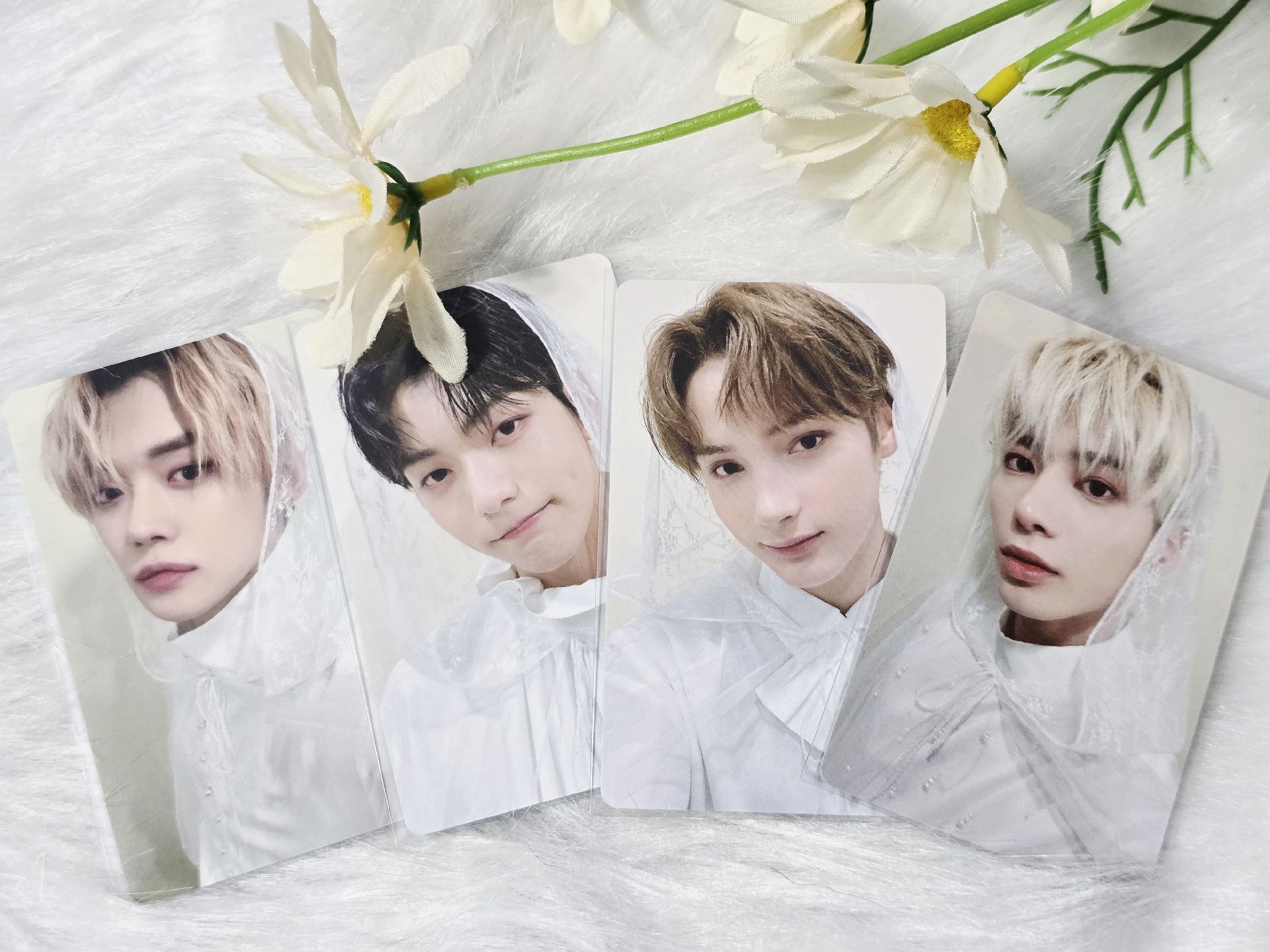 21 DVD 新娘系列 竣彬顯寧