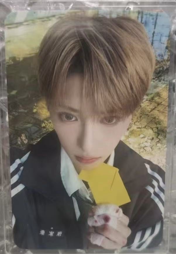 【代友售非現可直拍】ald1 小卡