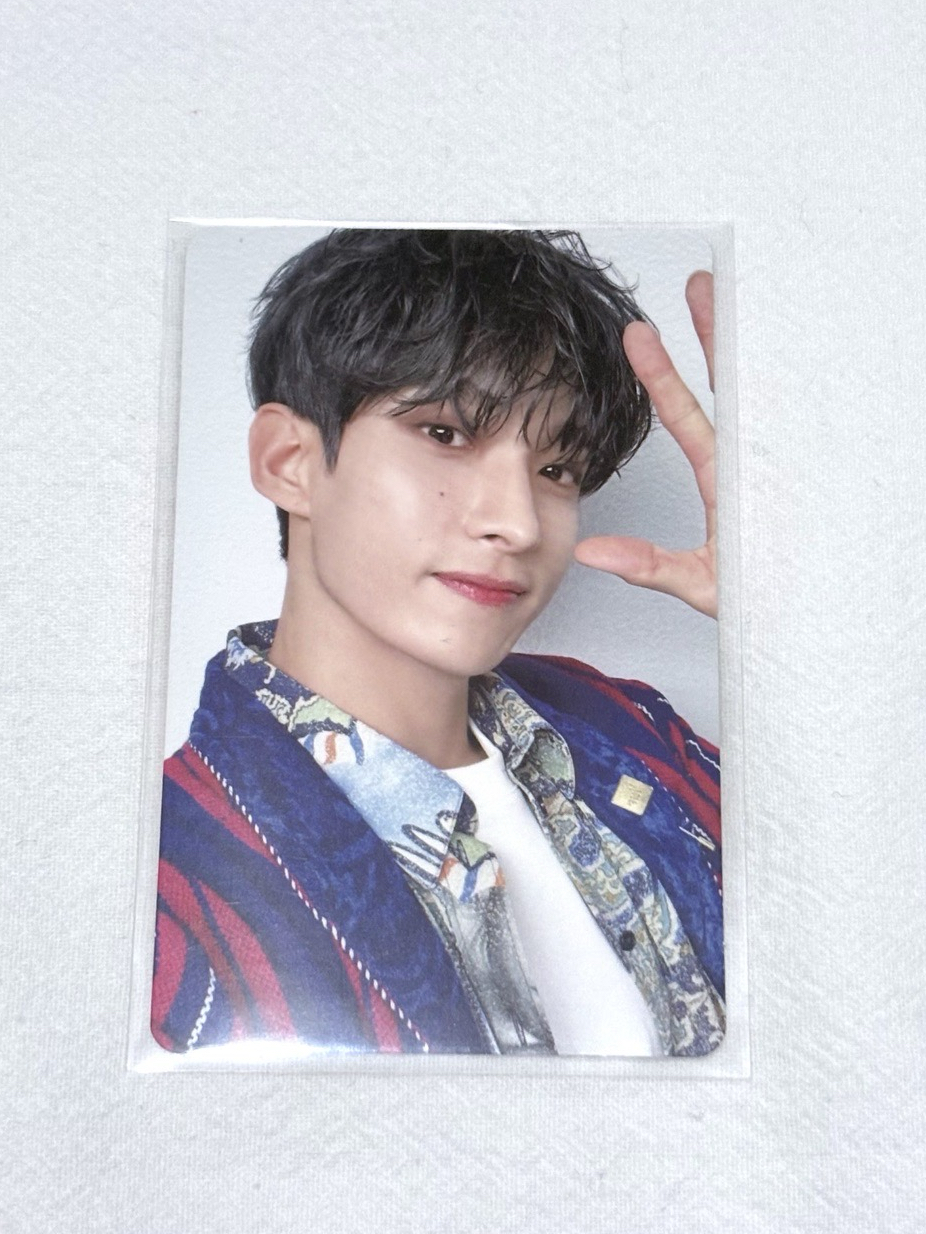 招手碩 incomplate演唱會dvd 小卡