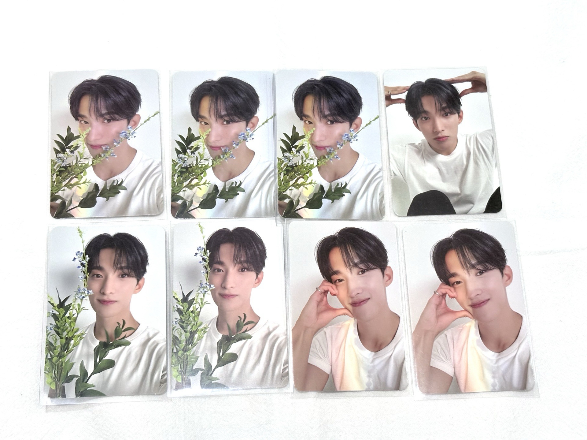 親愛盤碩卡 狗狗碩