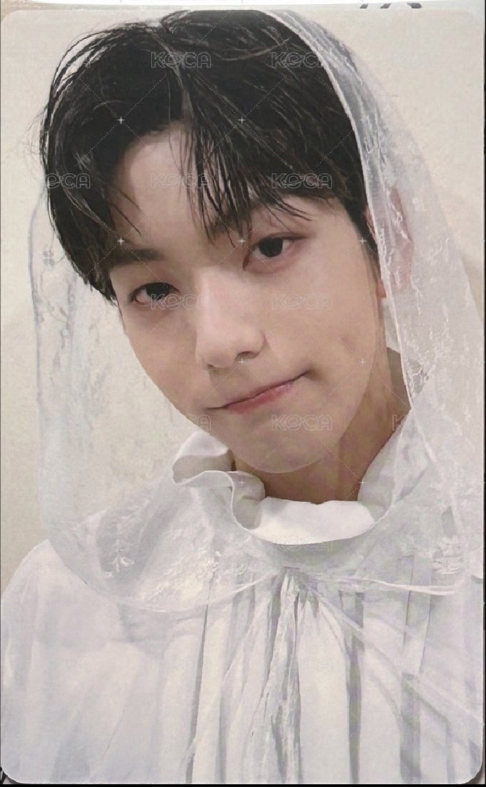 新娘彬（非現）