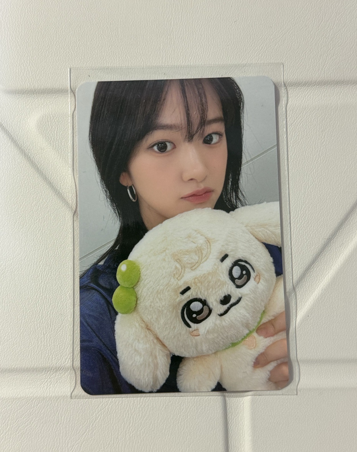 ive 30cm大娃安🐶