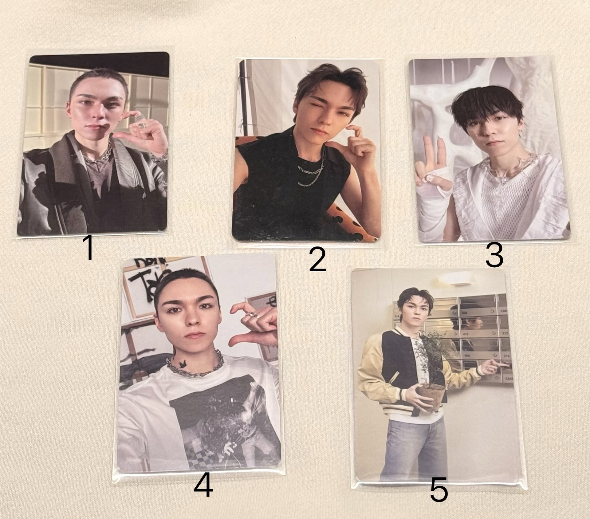 帥而不知崔瀚率