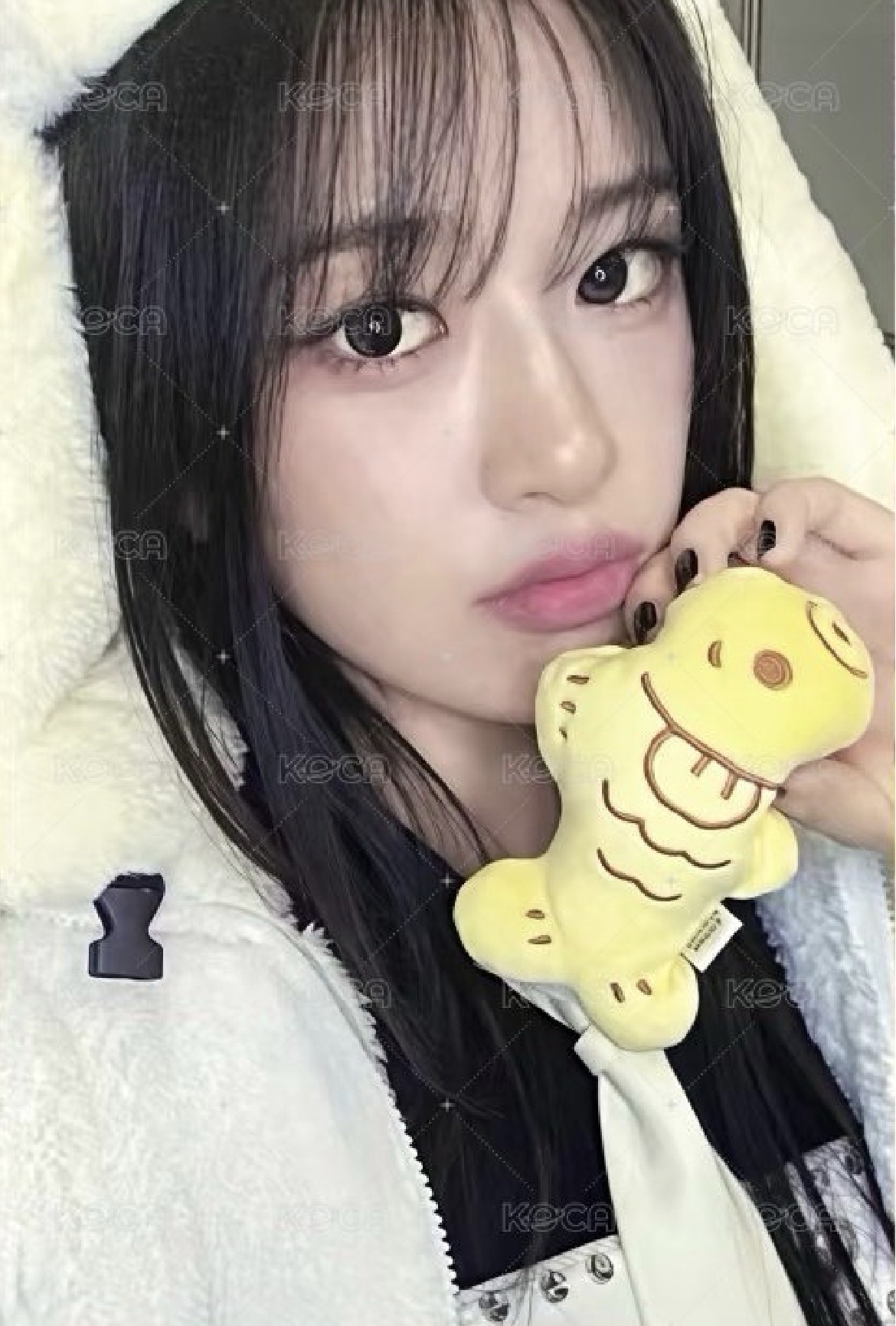 IVE SECRET hl 2.0 簽售卡 鯛魚燒