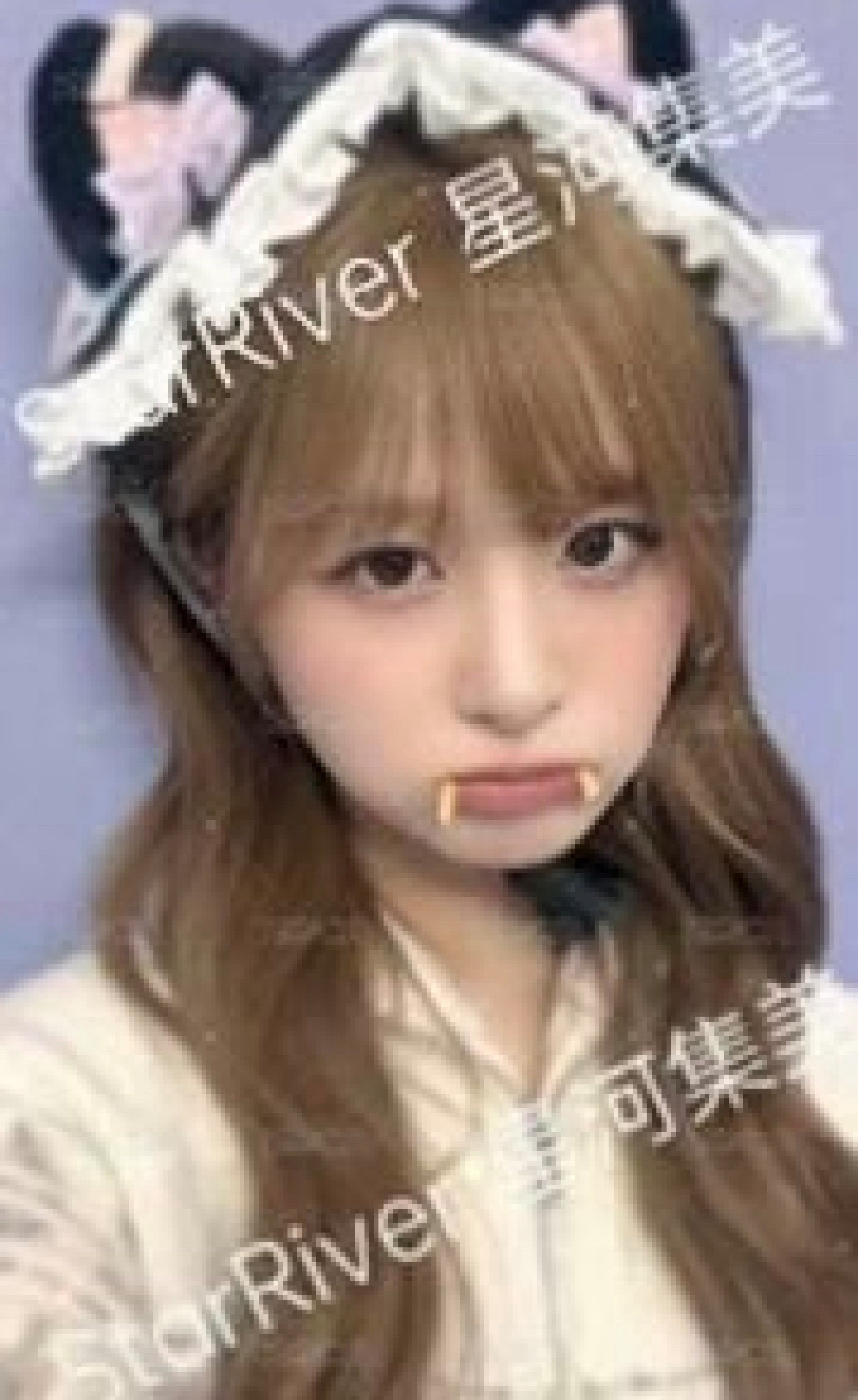 吸血鬼貓薛友莉🐱