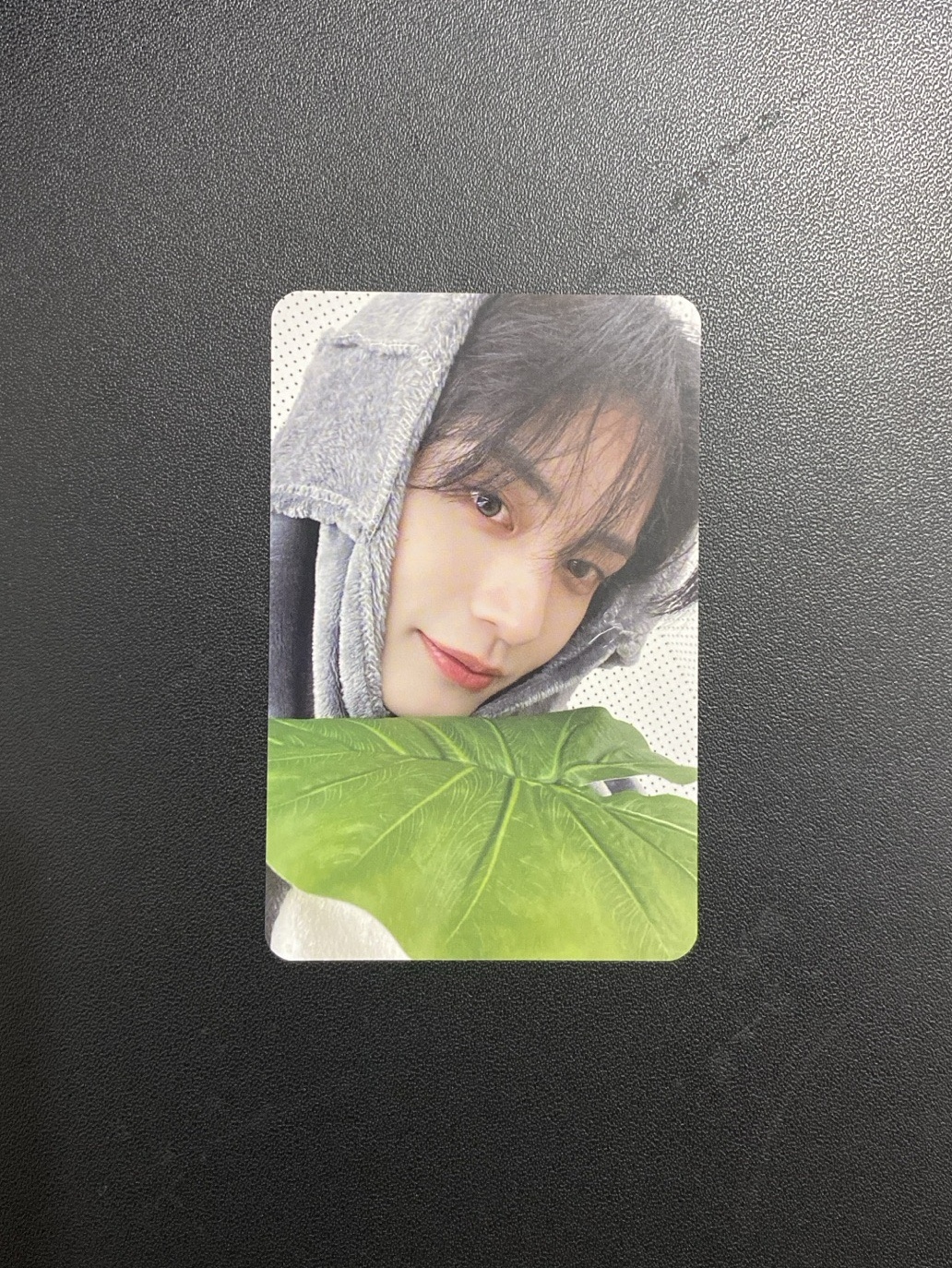 迷二｜el龍貓雄