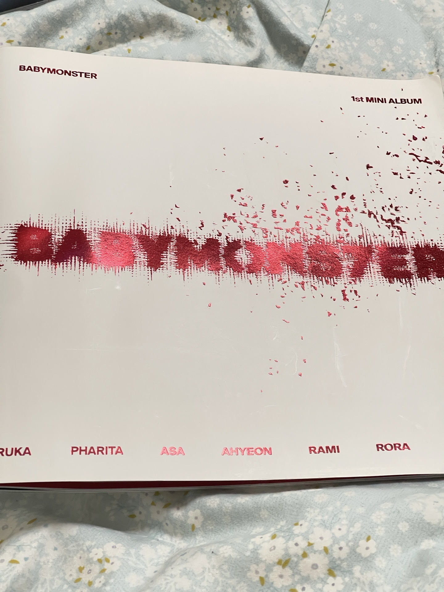 BM大本專（除小卡其他都在）