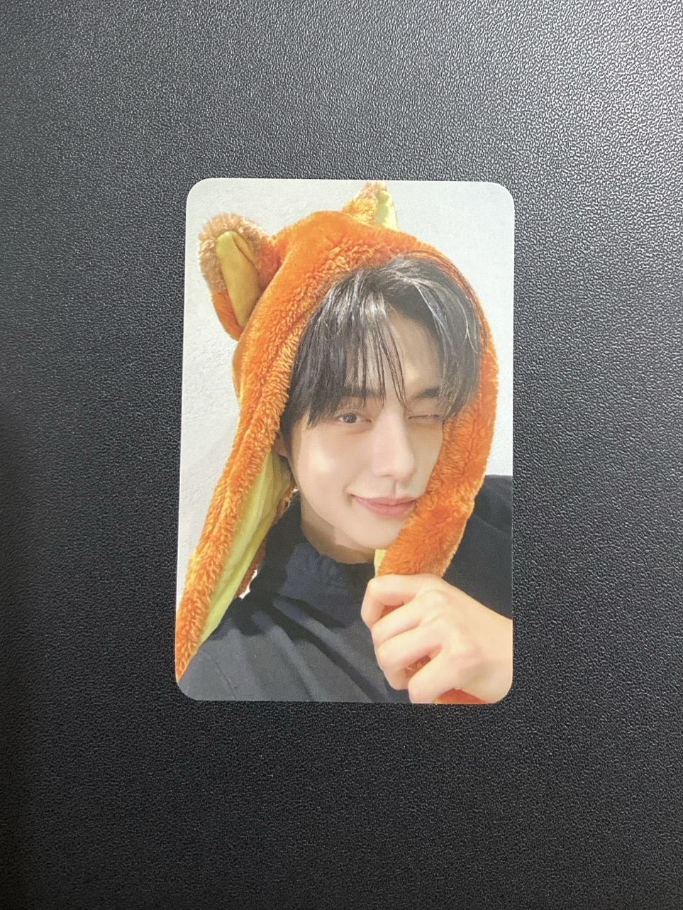 正規一｜wm動物方程式雄