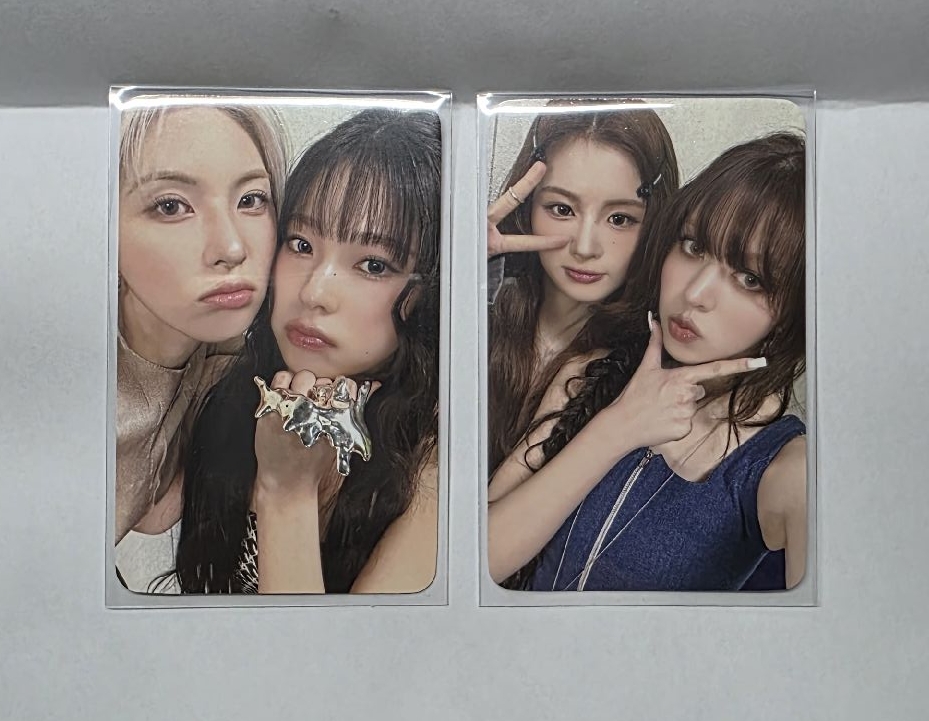 💙玫瑰雙人裴圭、莉薛