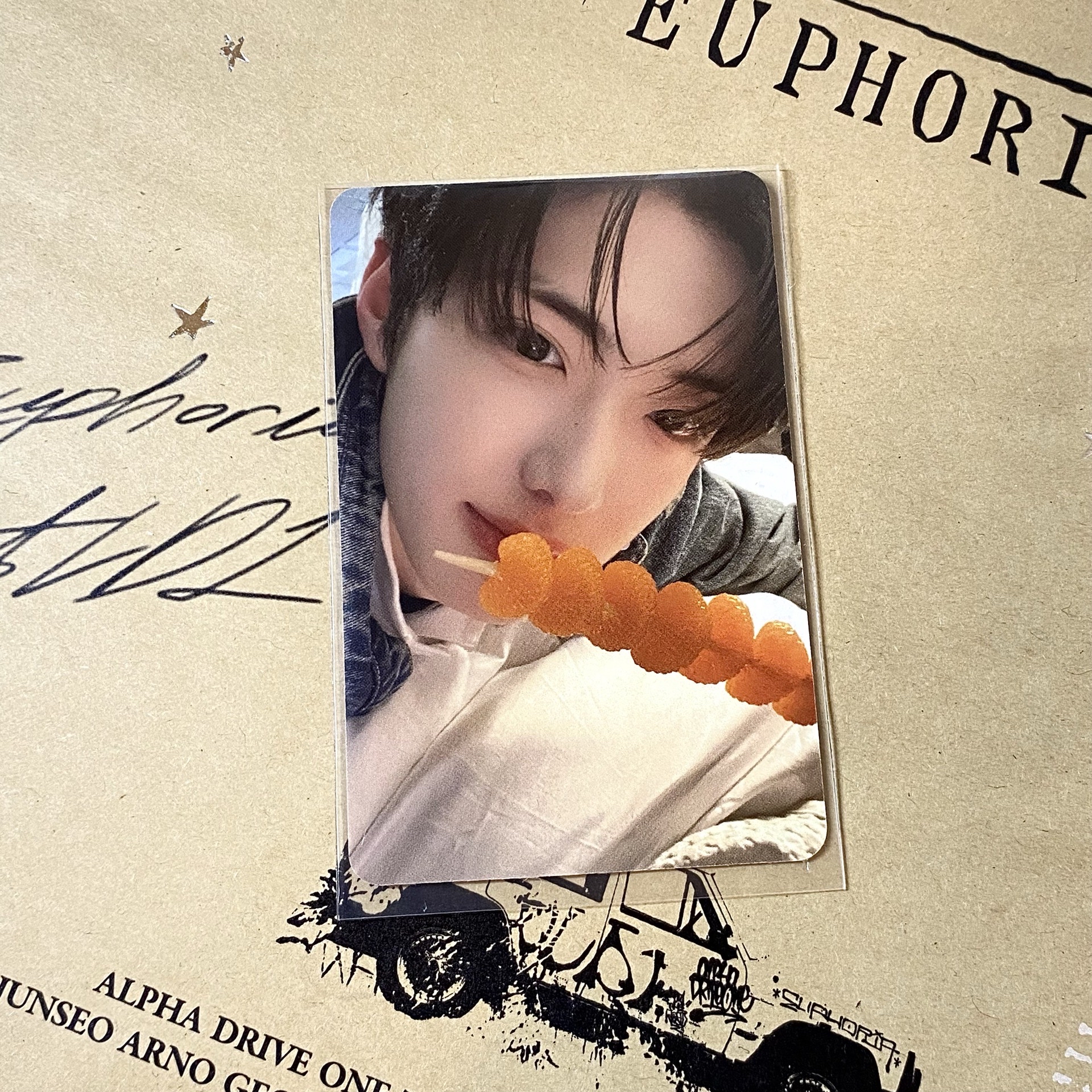 人生真是喵喵又汪汪(>^ω^<) 