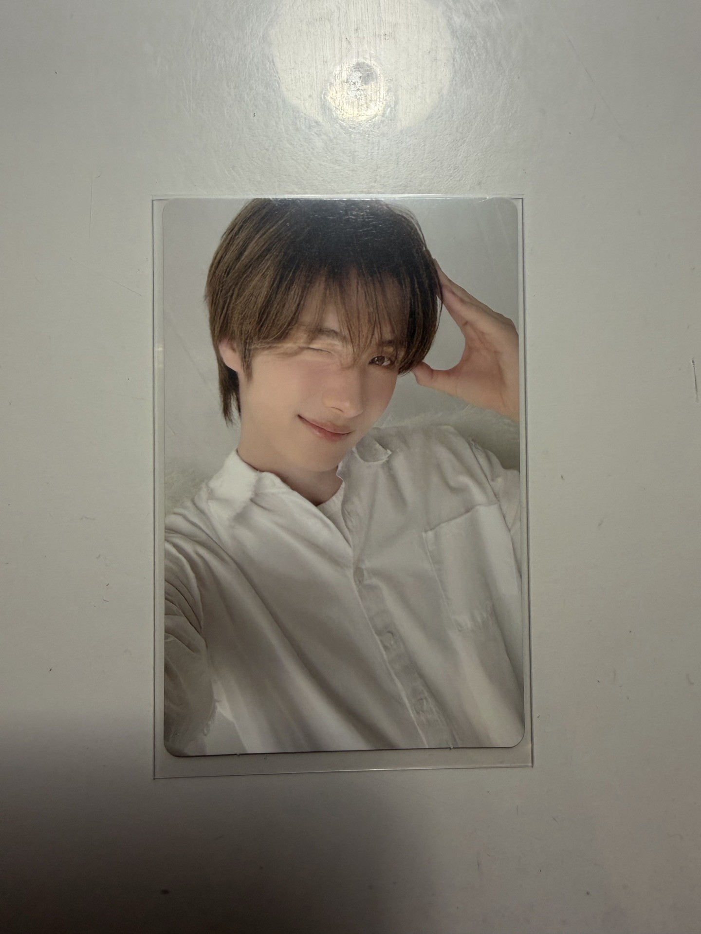 迷四小狗萌萌🐶專卡